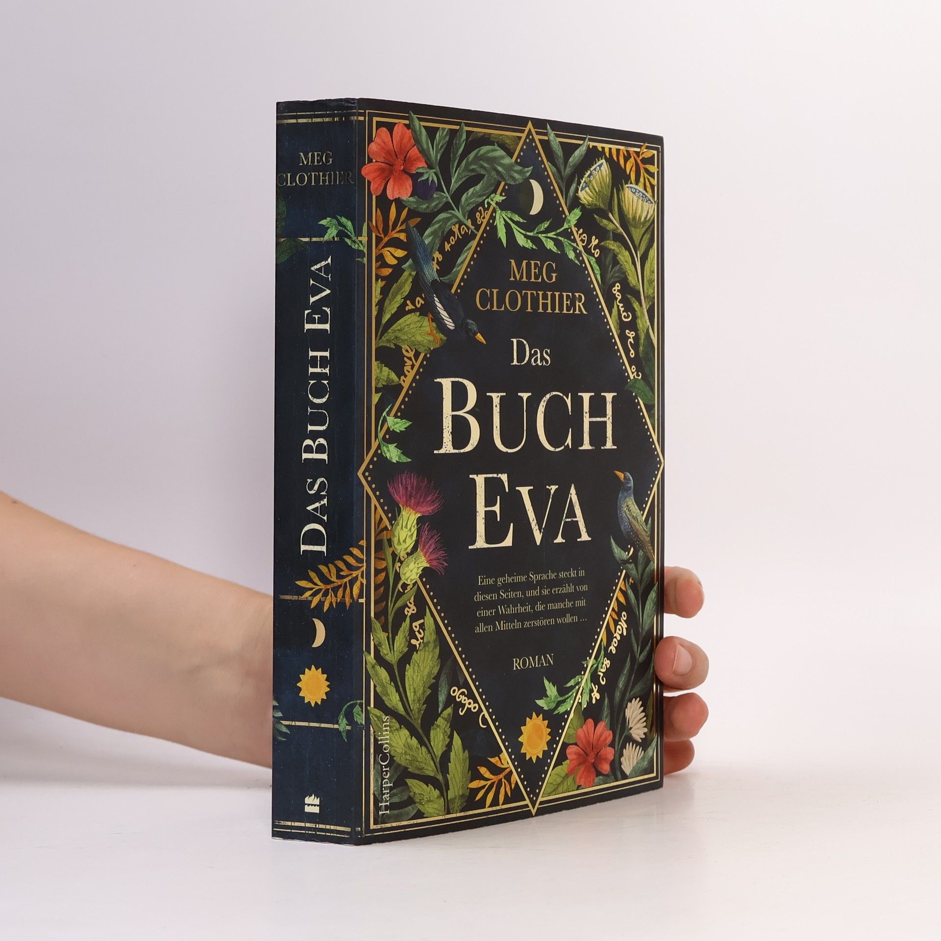 Meg Clothier Das Buch Eva