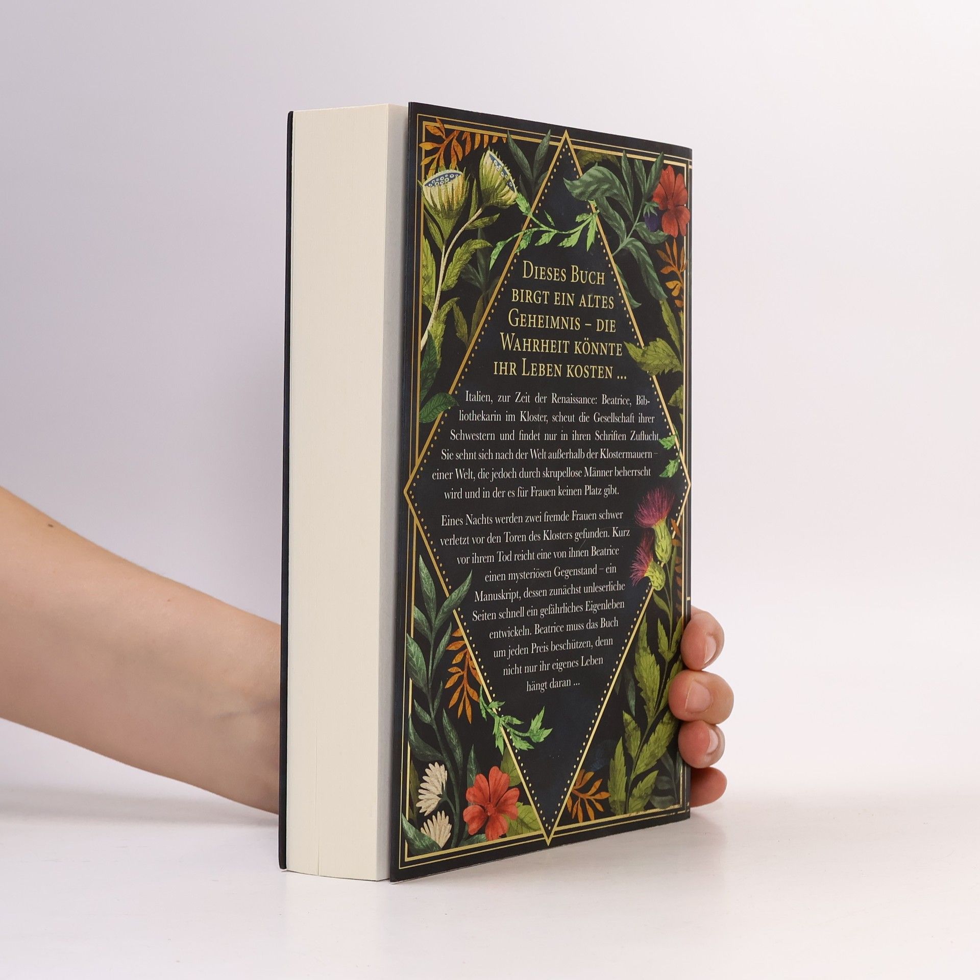 Meg Clothier Das Buch Eva
