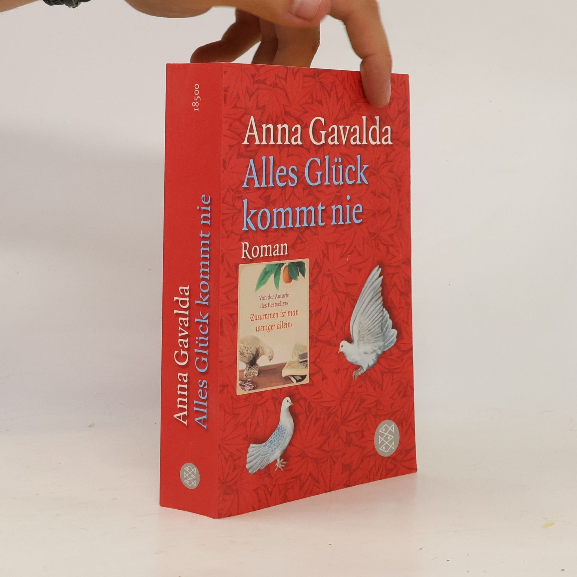 Anna Gavalda Alles Glück kommt nie