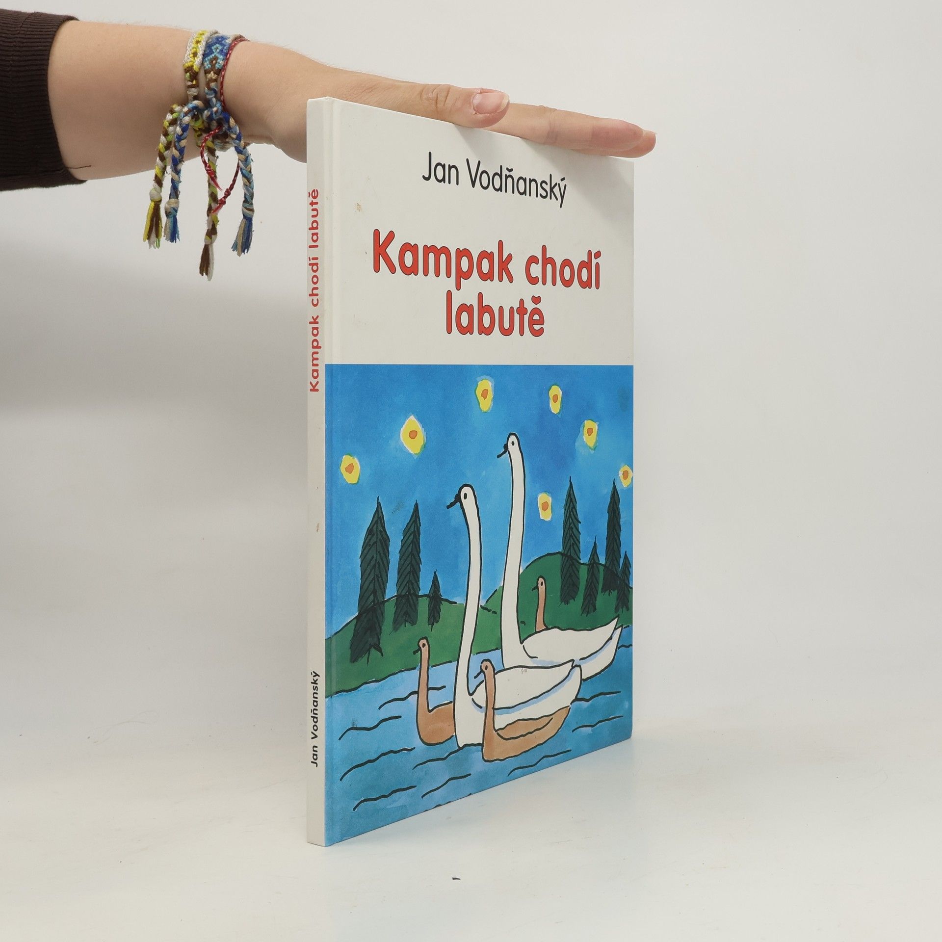 Kampak chodí labutě