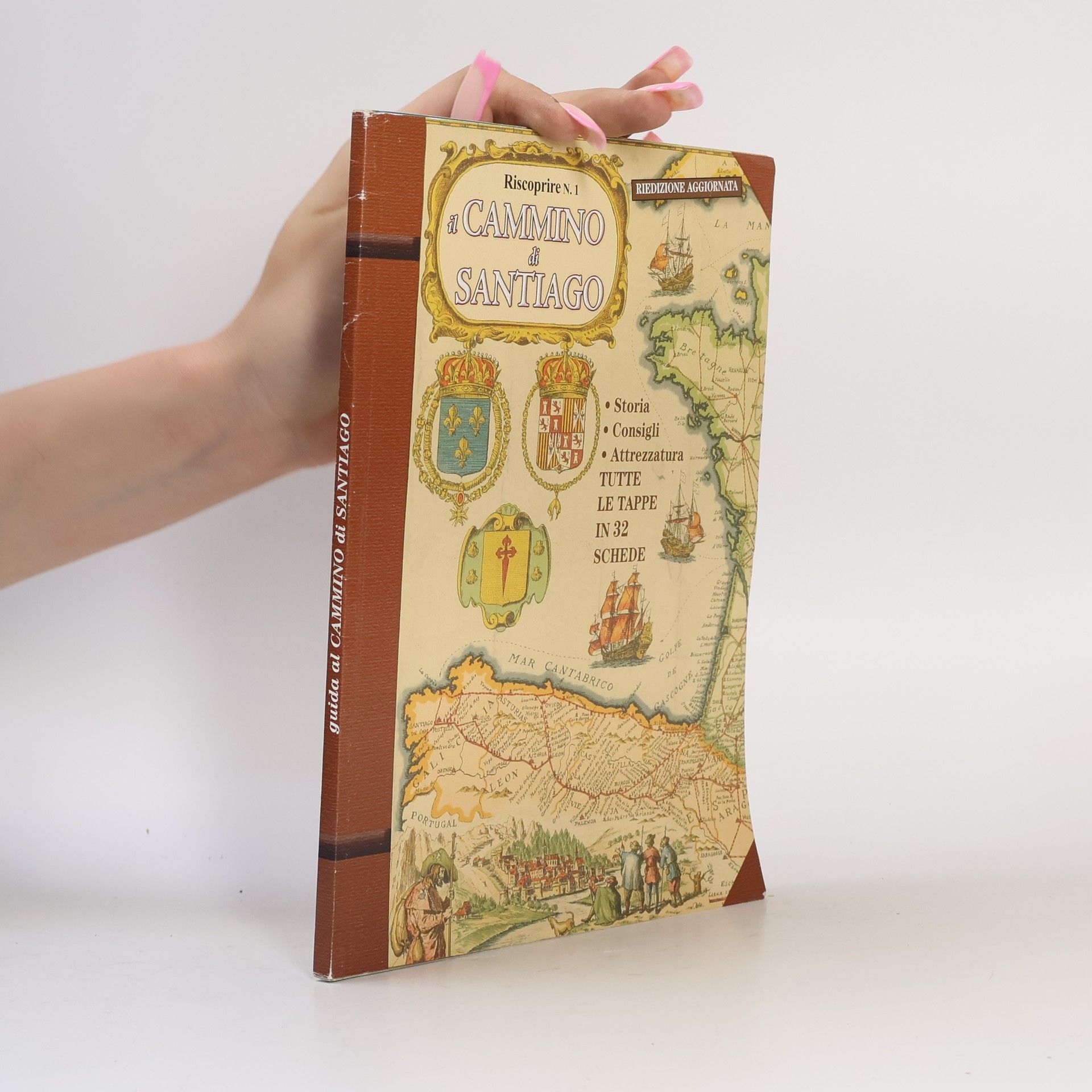 Autores varios Il cammino di Santiago