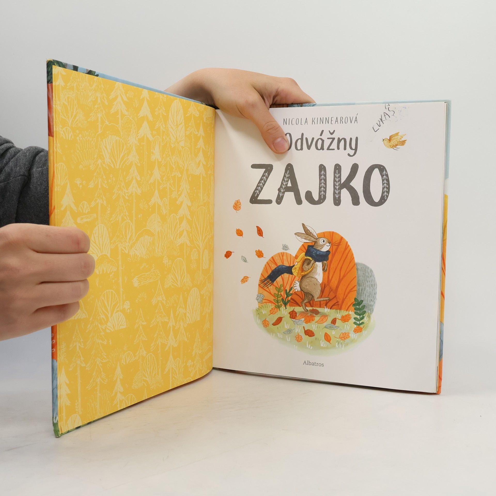 Nicola Kinnear Odvážny zajko
