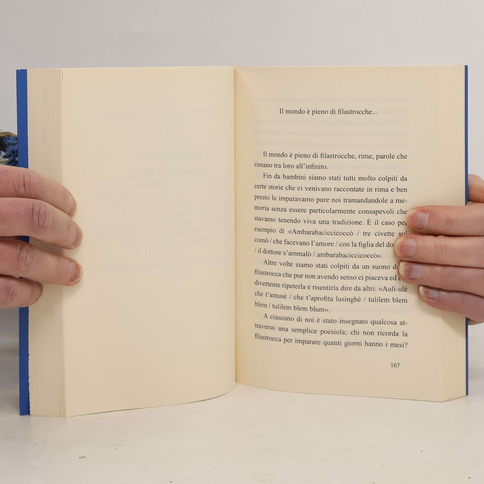Davide Bregola I grandi libri: Il grande libro degli indovinelli e delle filastrocche