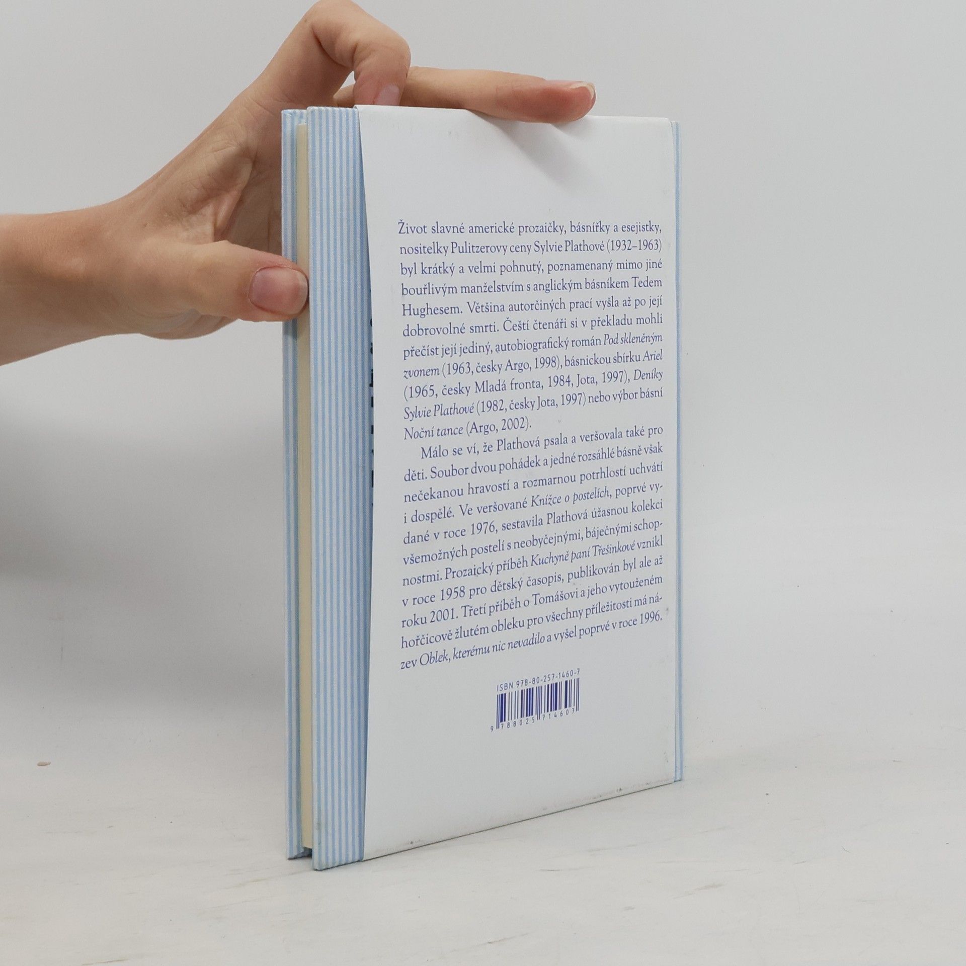 Sylvia Plath Knížka o postelích a dvě pohádky navrch