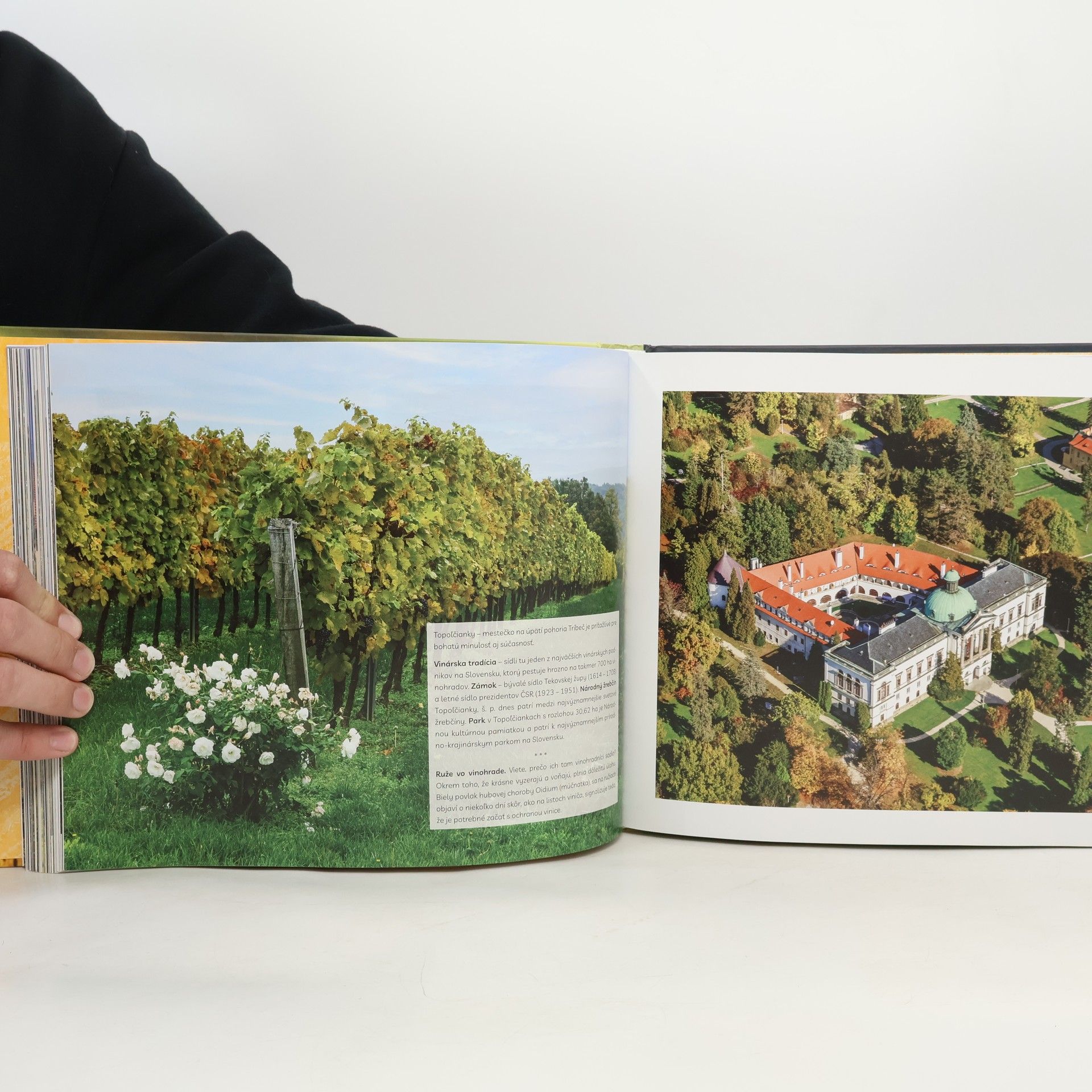 Stano Jendek Slovenskou vinicou
