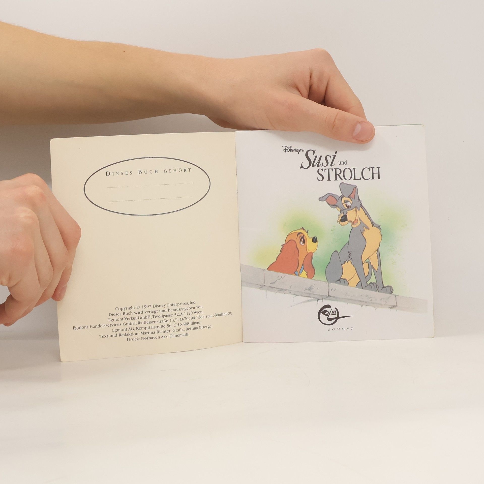 Autorenkollektiv Susi und Strolch