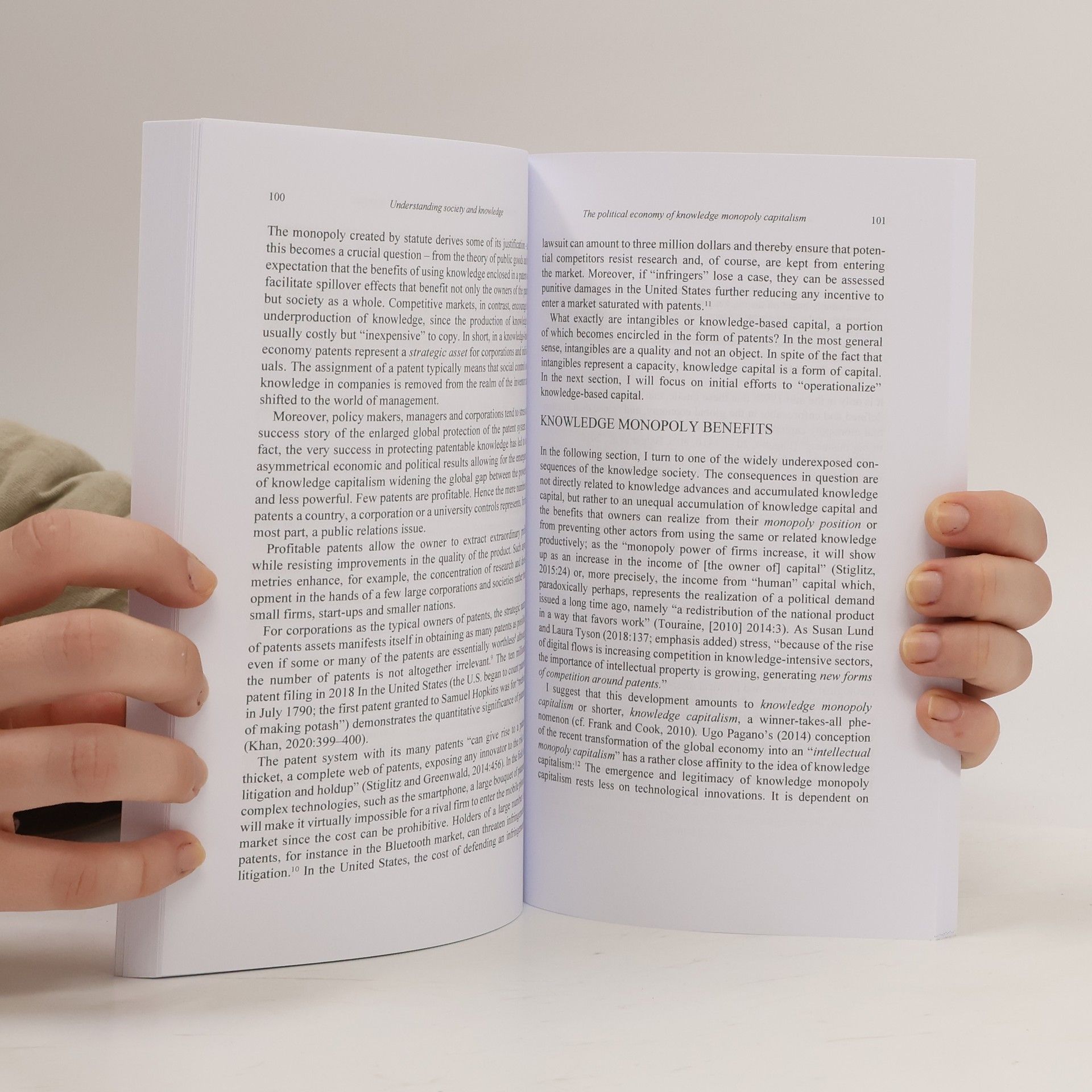 Nico Stehr Understanding Society and Knowledge