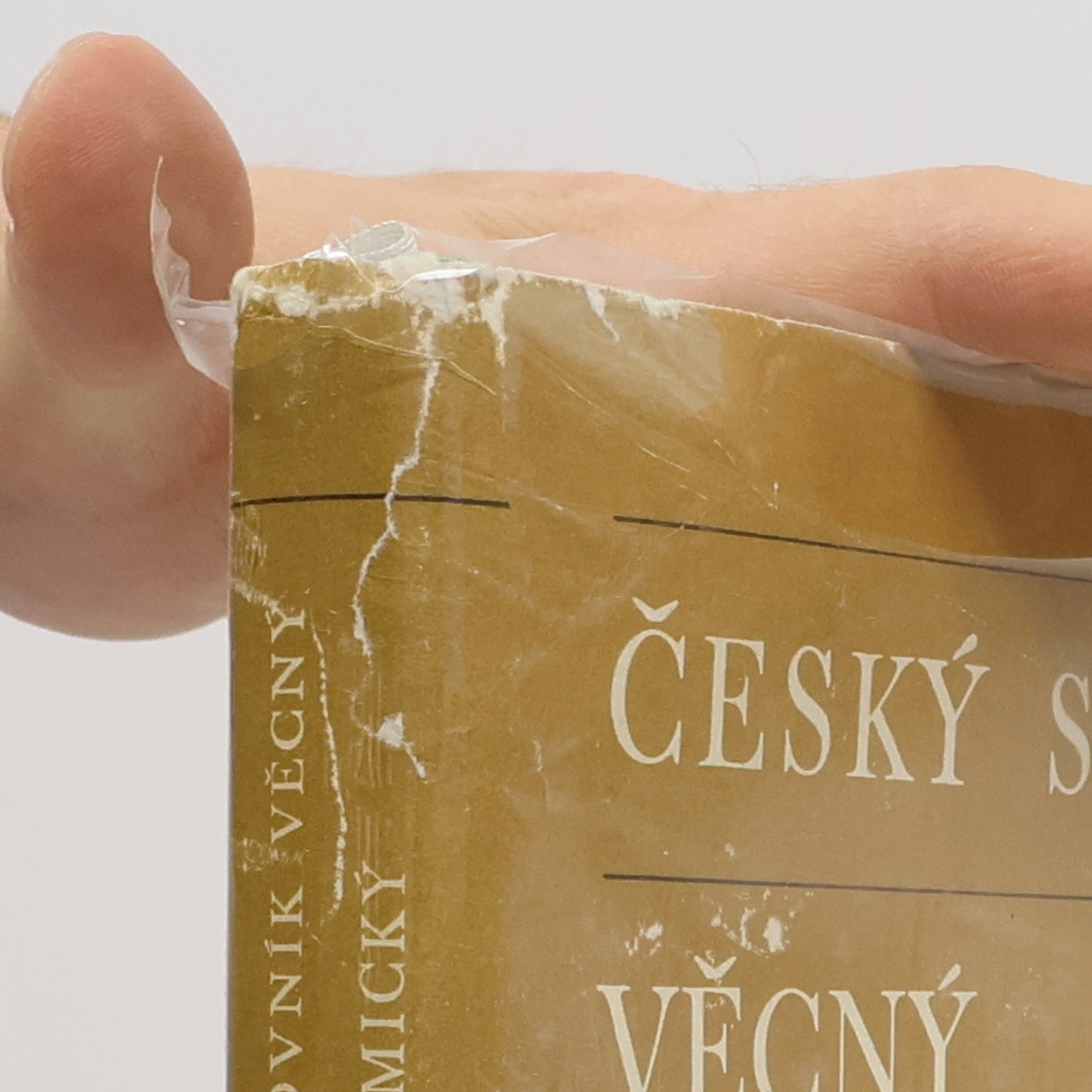 Auteurscollectief Český slovník věcný a synonymický, I