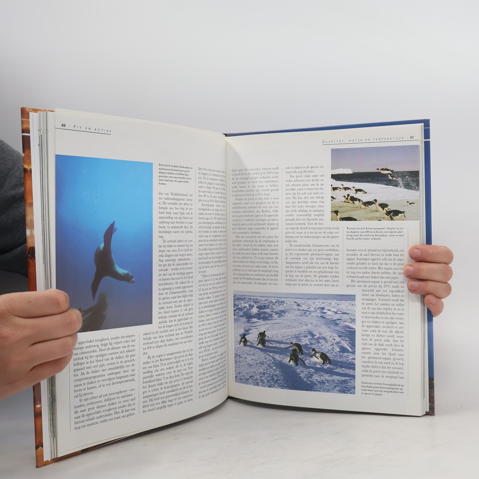 Collectif d'auteurs Majestueuze Gebergten