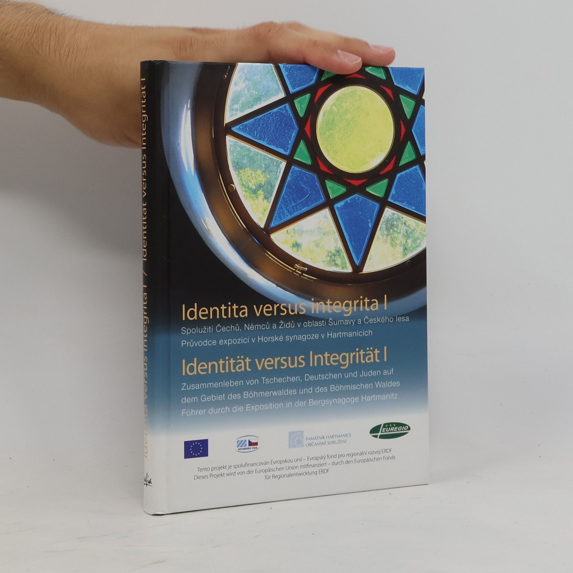 Kolektiv autorů Identita versus integrita I