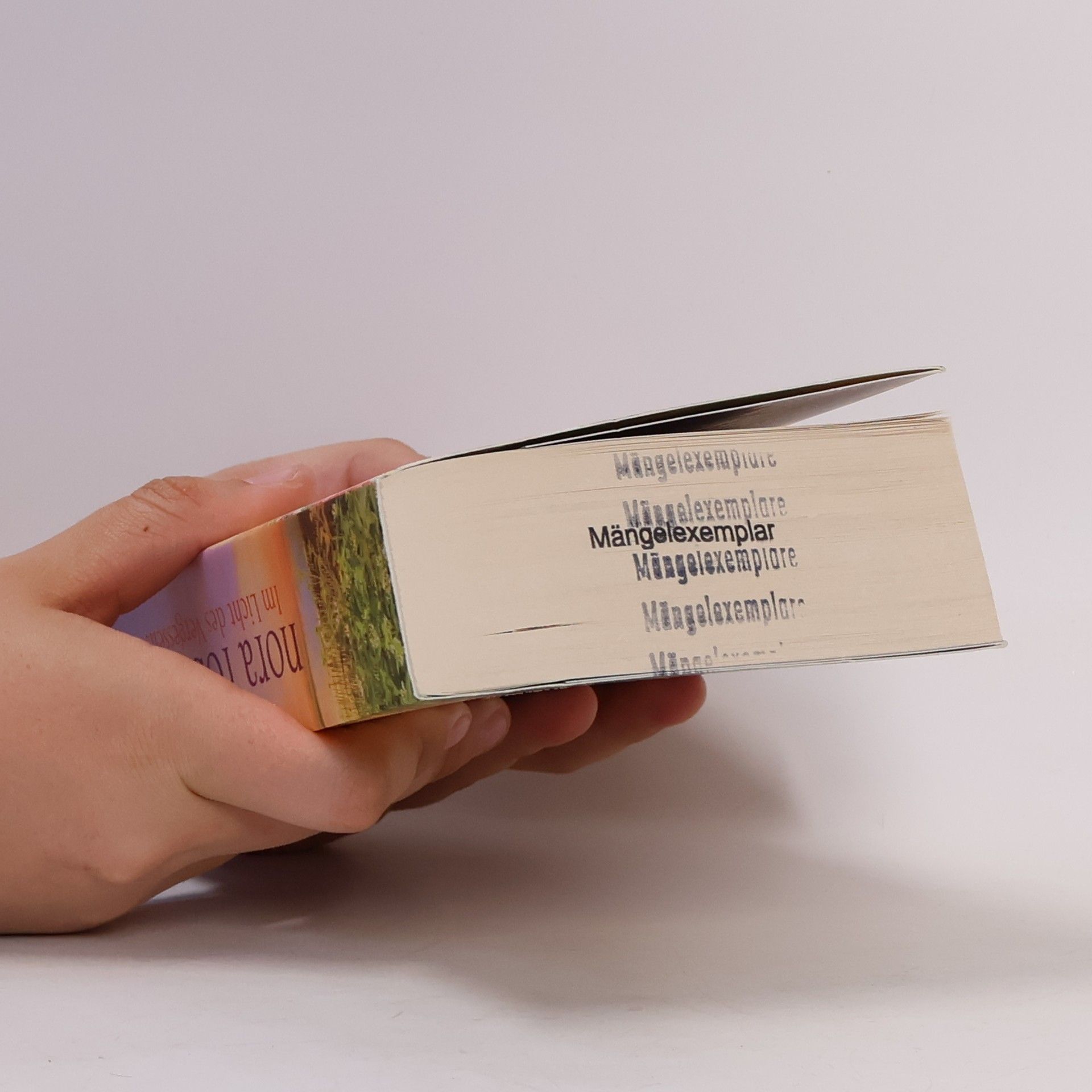 Nora Roberts Im Licht des Vergessens