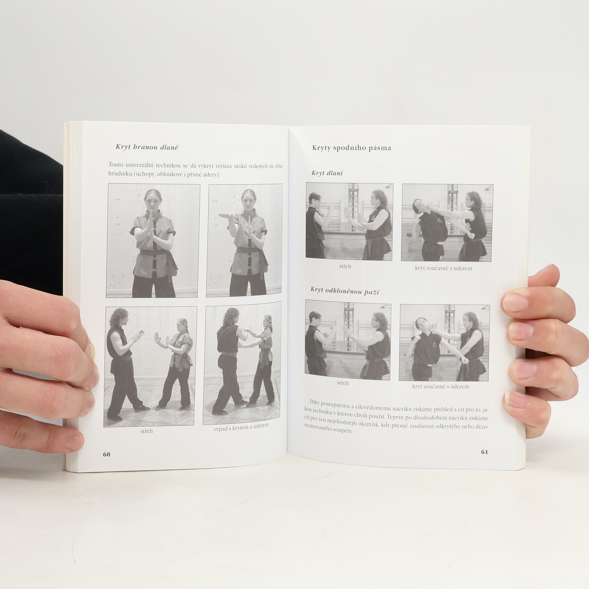 Leoš Kotlár Wing chun. Kung fu. Metodická příručka