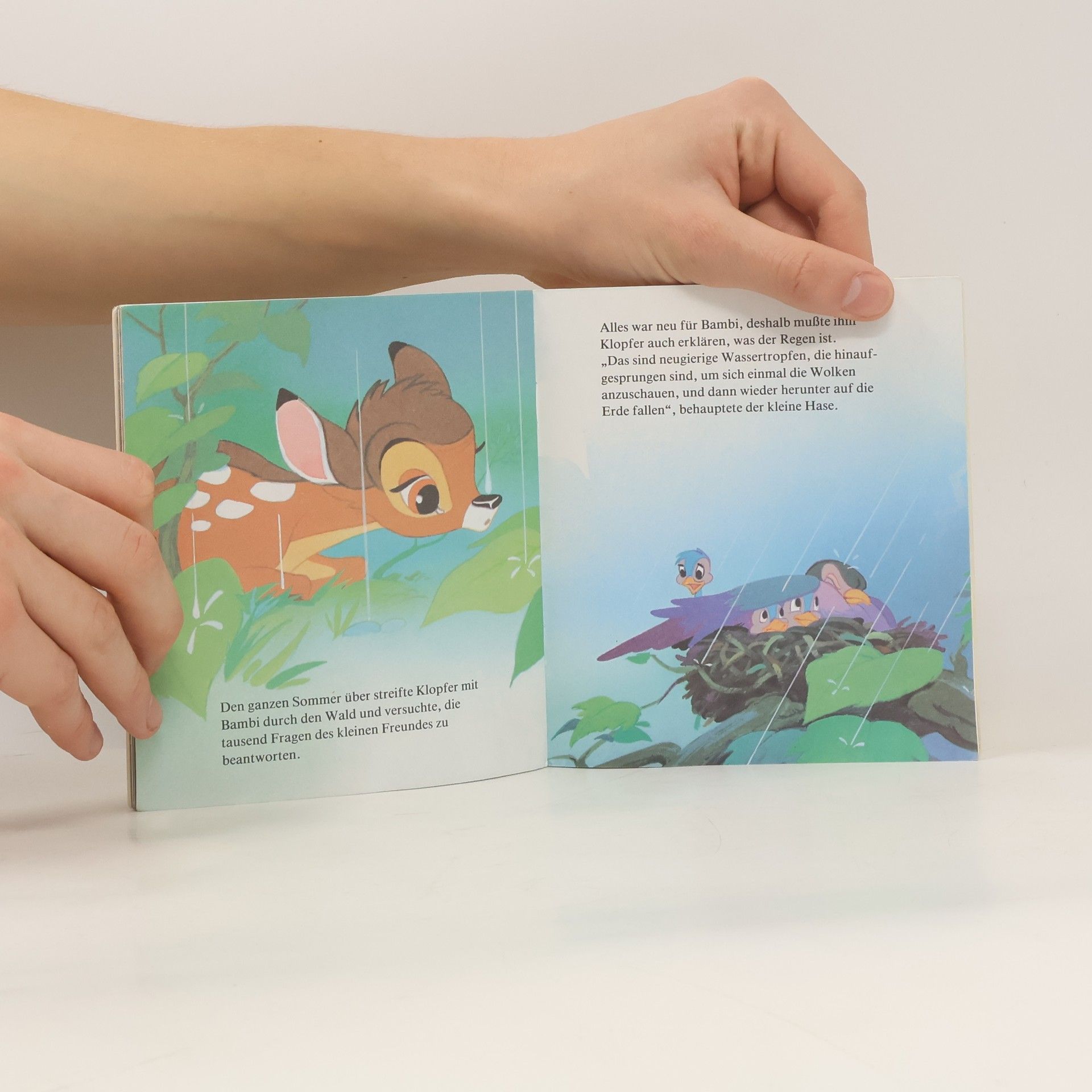 Auteurscollectief Bambi entdeckt die Welt