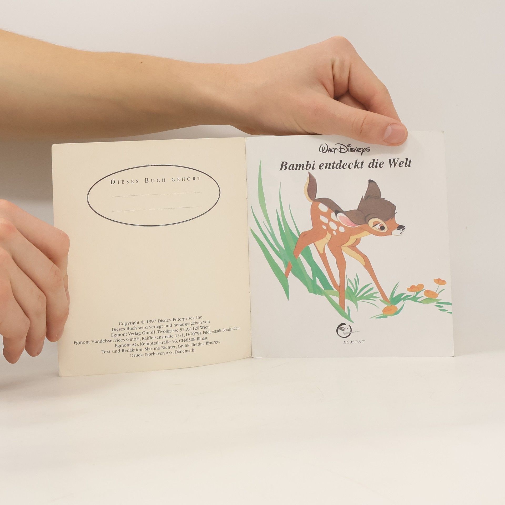 Auteurscollectief Bambi entdeckt die Welt