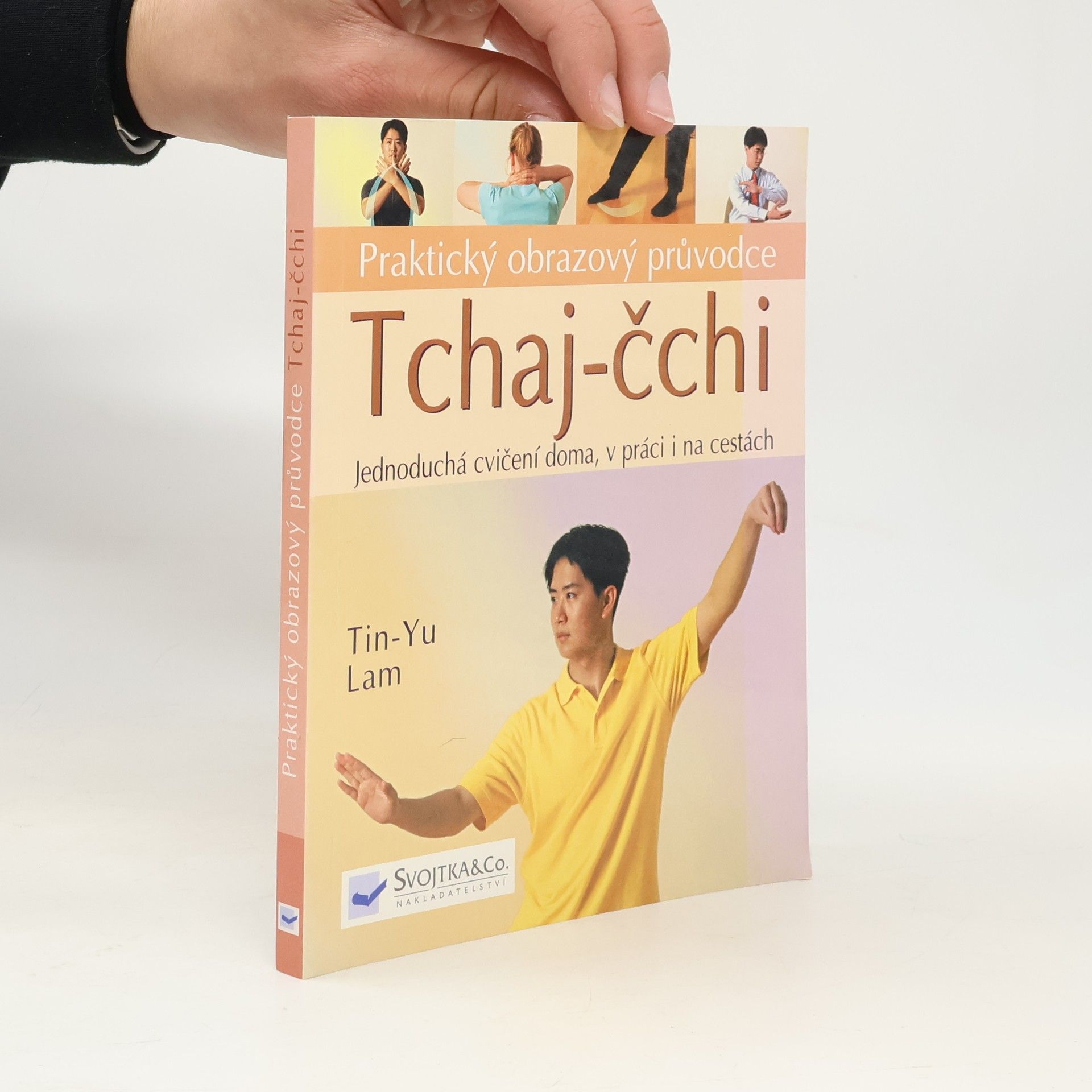 Tin Yu Lam Tchaj čchi - praktický obrazový průvodce