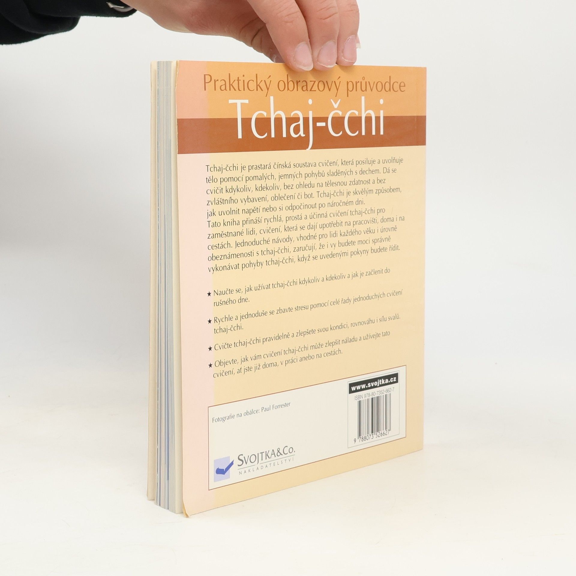 Tin Yu Lam Tchaj čchi - praktický obrazový průvodce