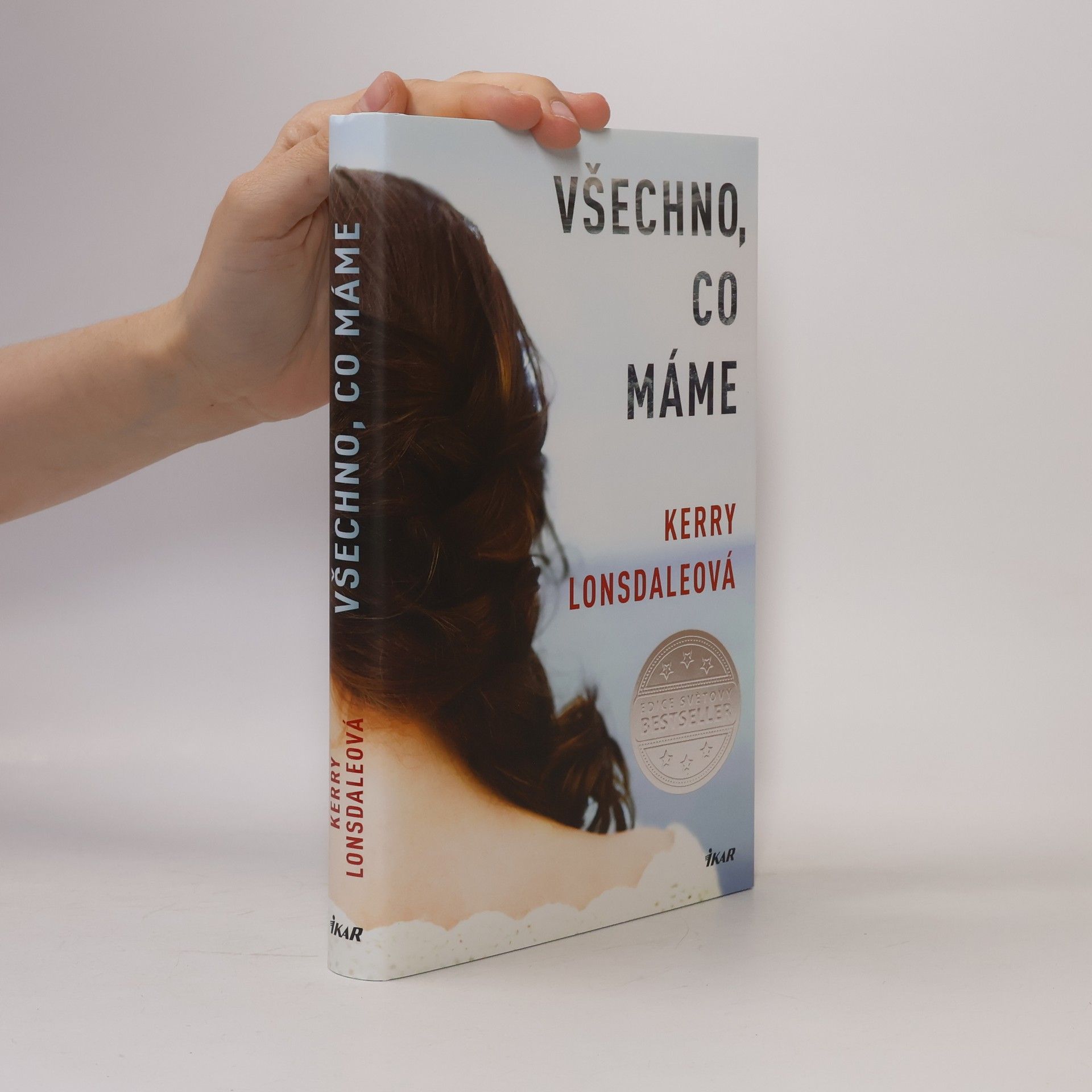 Kerry Lonsdale Všechno, co máme