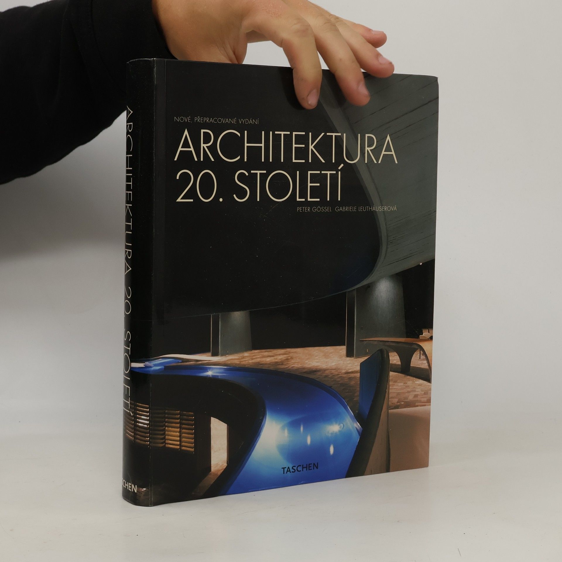 Peter Gessel Architektura 20. století