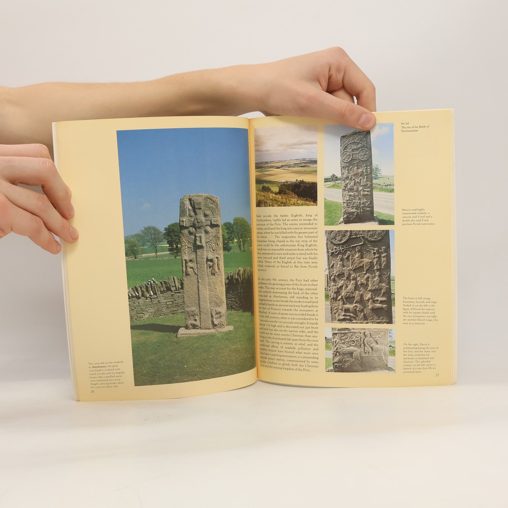 Anna Ritchie Picts