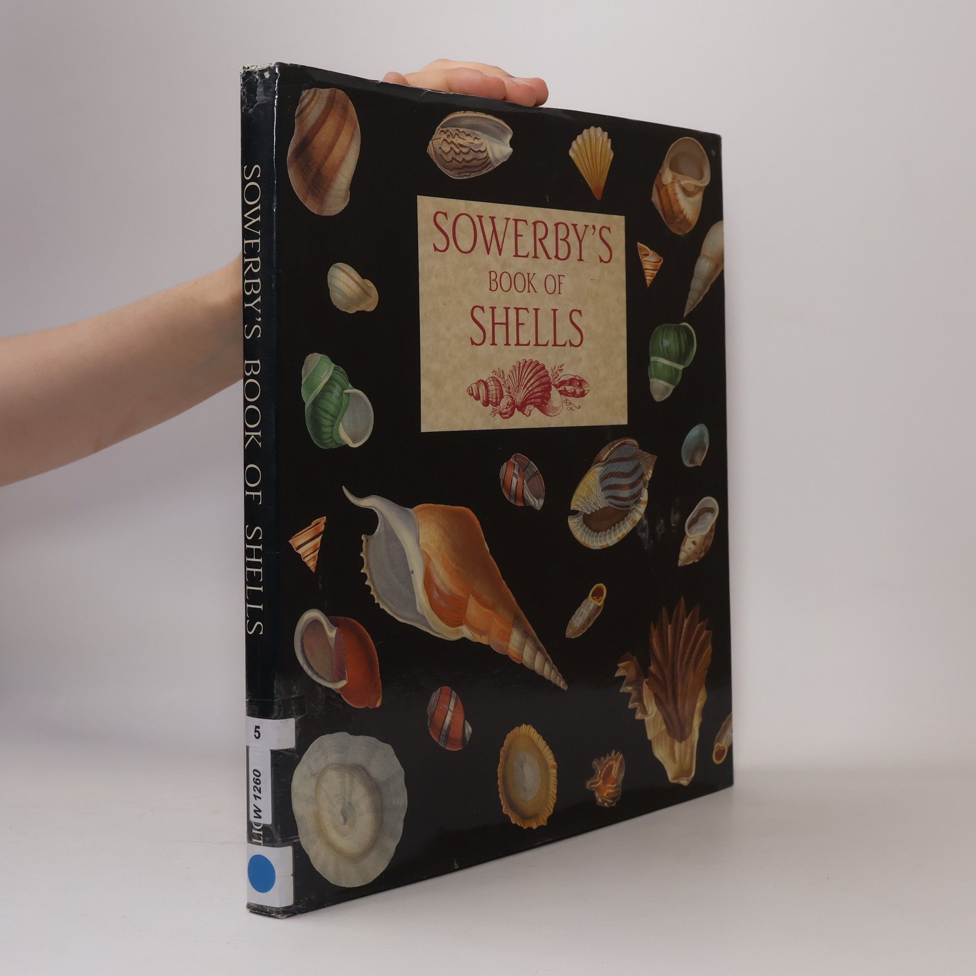 George Brettingham Sowerby Jr. Sowerby's Book of Shells