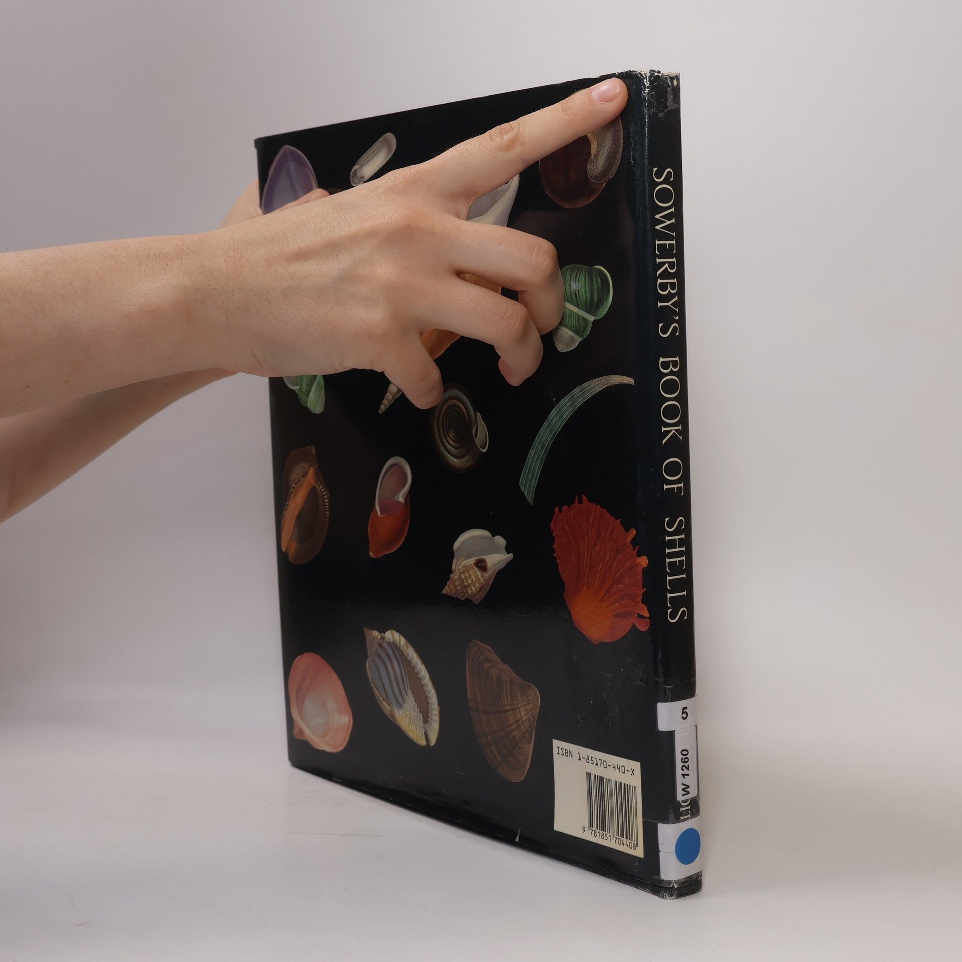 George Brettingham Sowerby Jr. Sowerby's Book of Shells