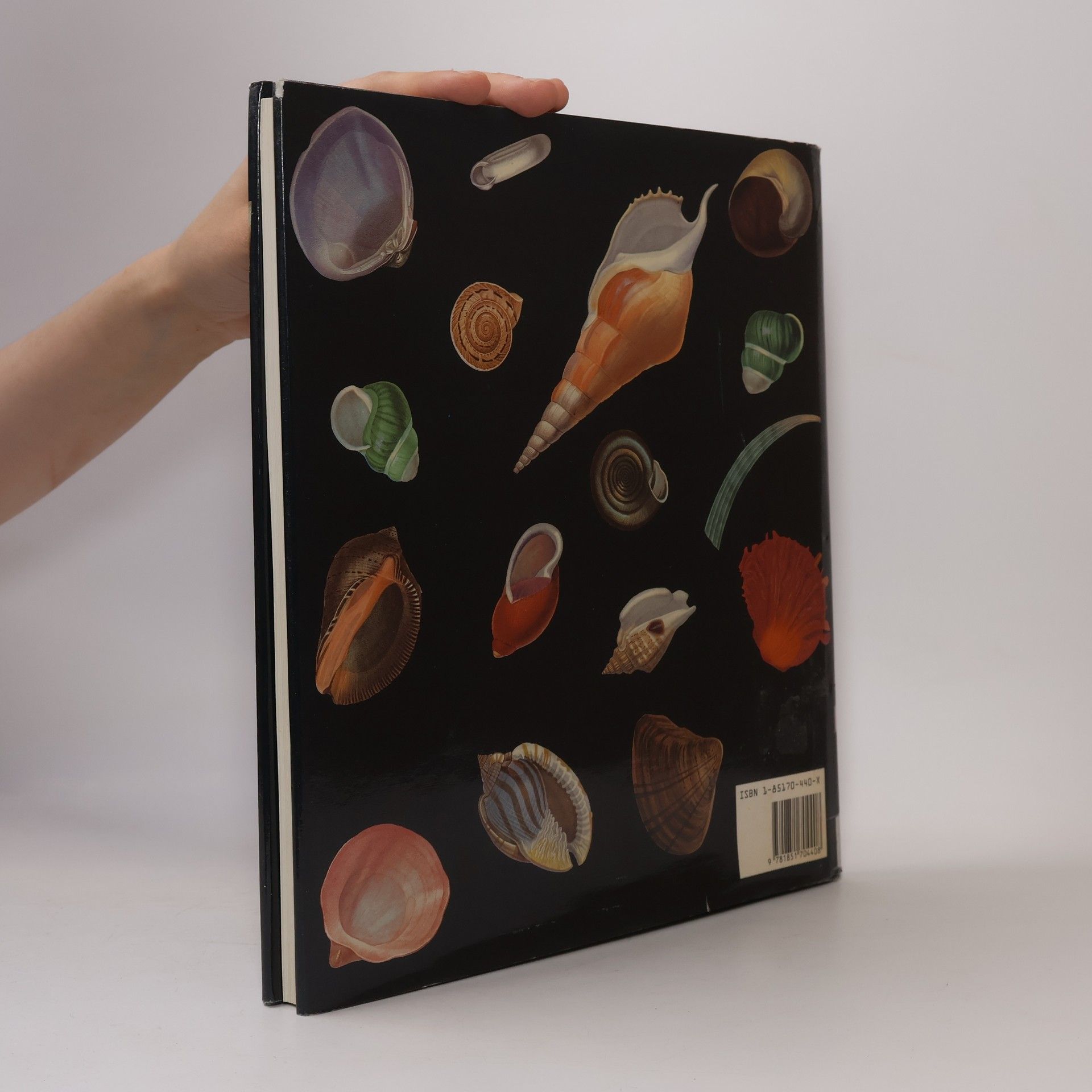 George Brettingham Sowerby Jr. Sowerby's Book of Shells