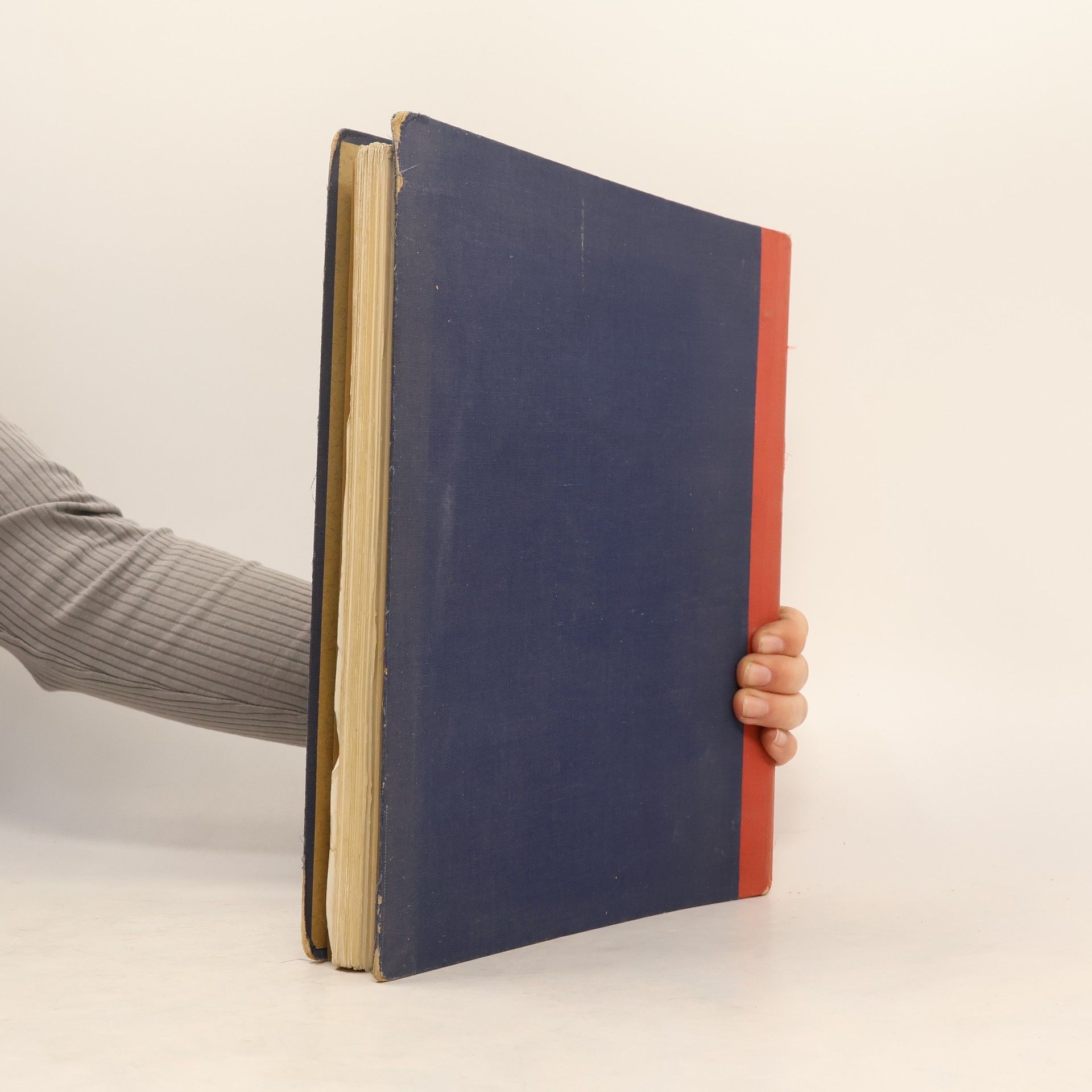 Collectif d'auteurs Hämatologische Tafeln Sandoz
