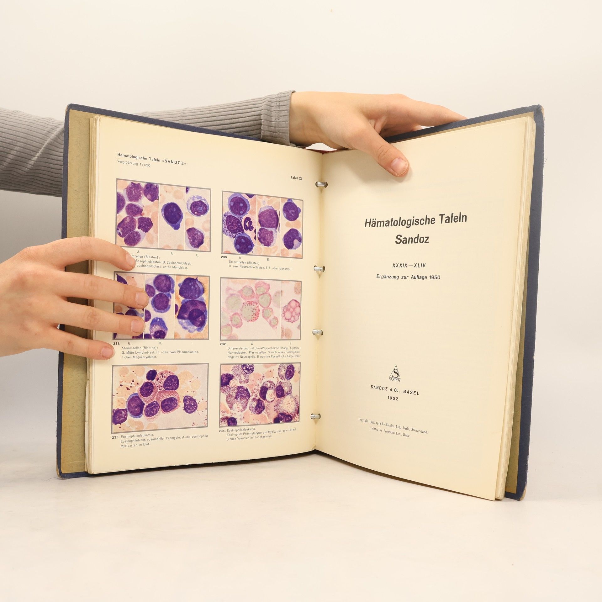 Collectif d'auteurs Hämatologische Tafeln Sandoz