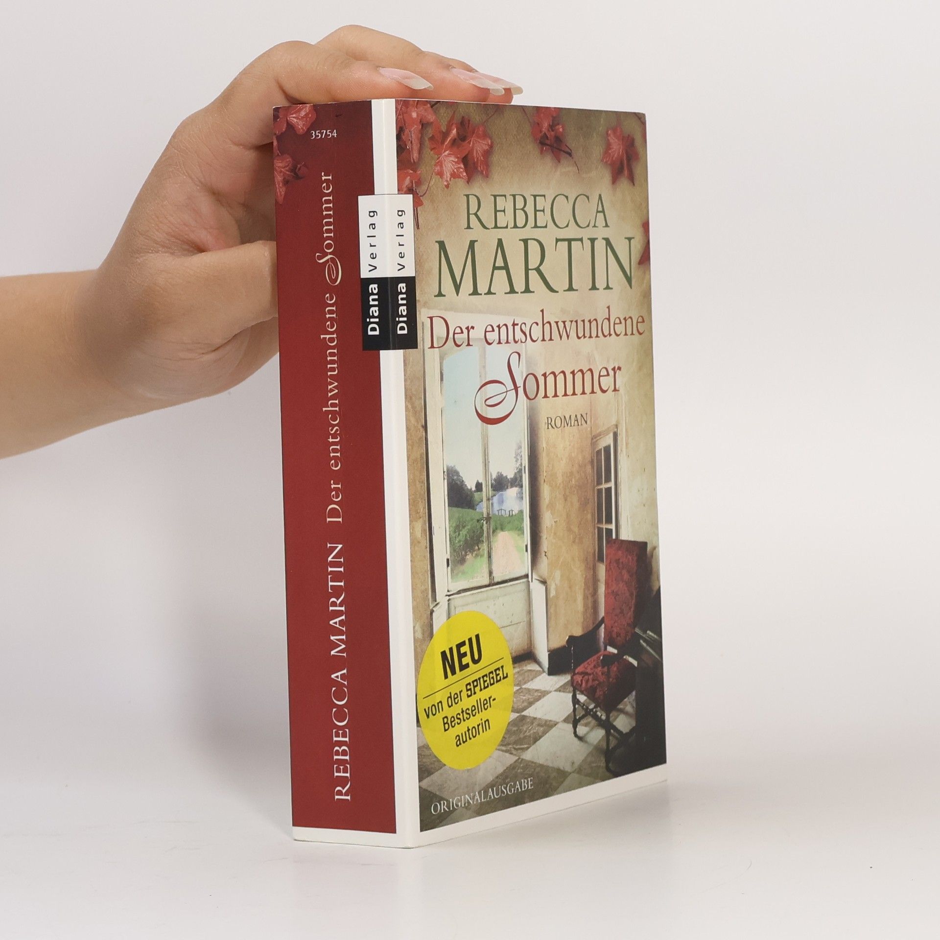 Rebecca Martin Der entschwundene Sommer