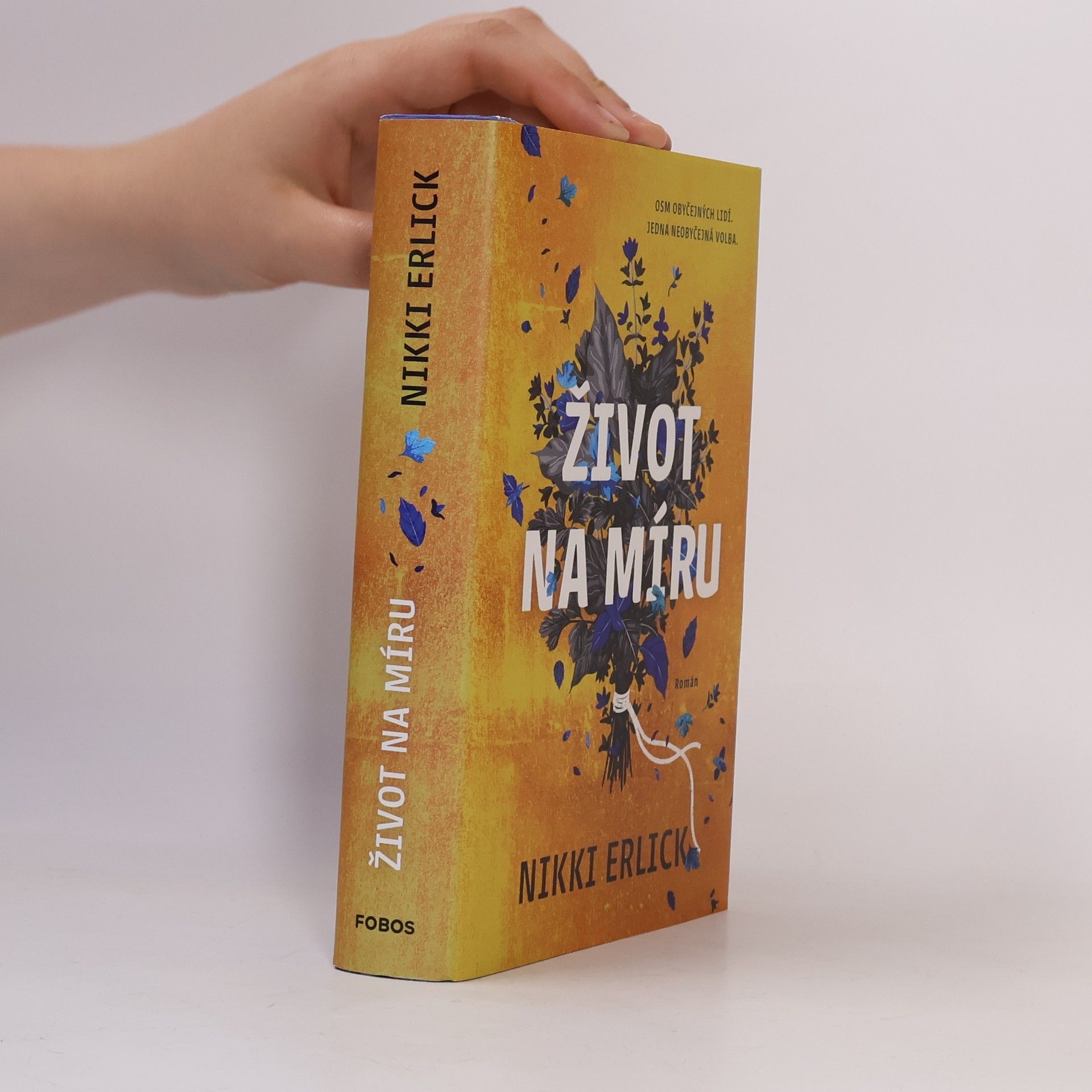 Nikki Erlick Život na míru
