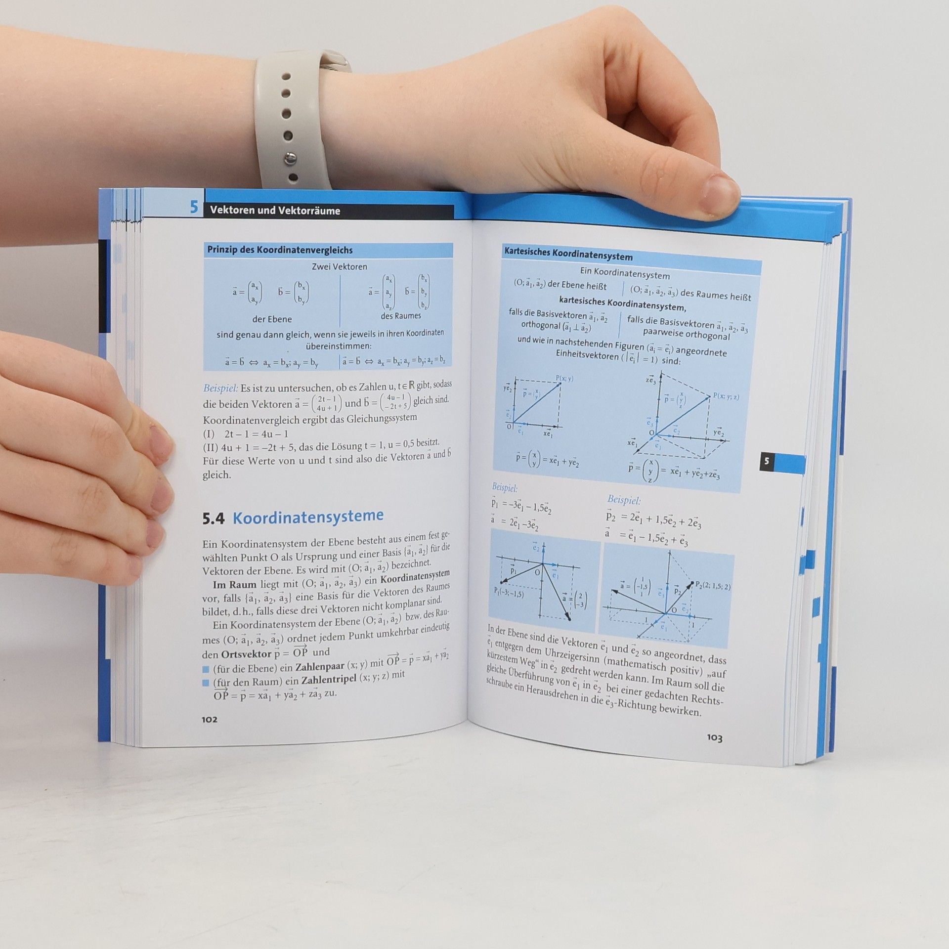 Michael Bornemann Schnell-Merk-System Abi Mathematik
