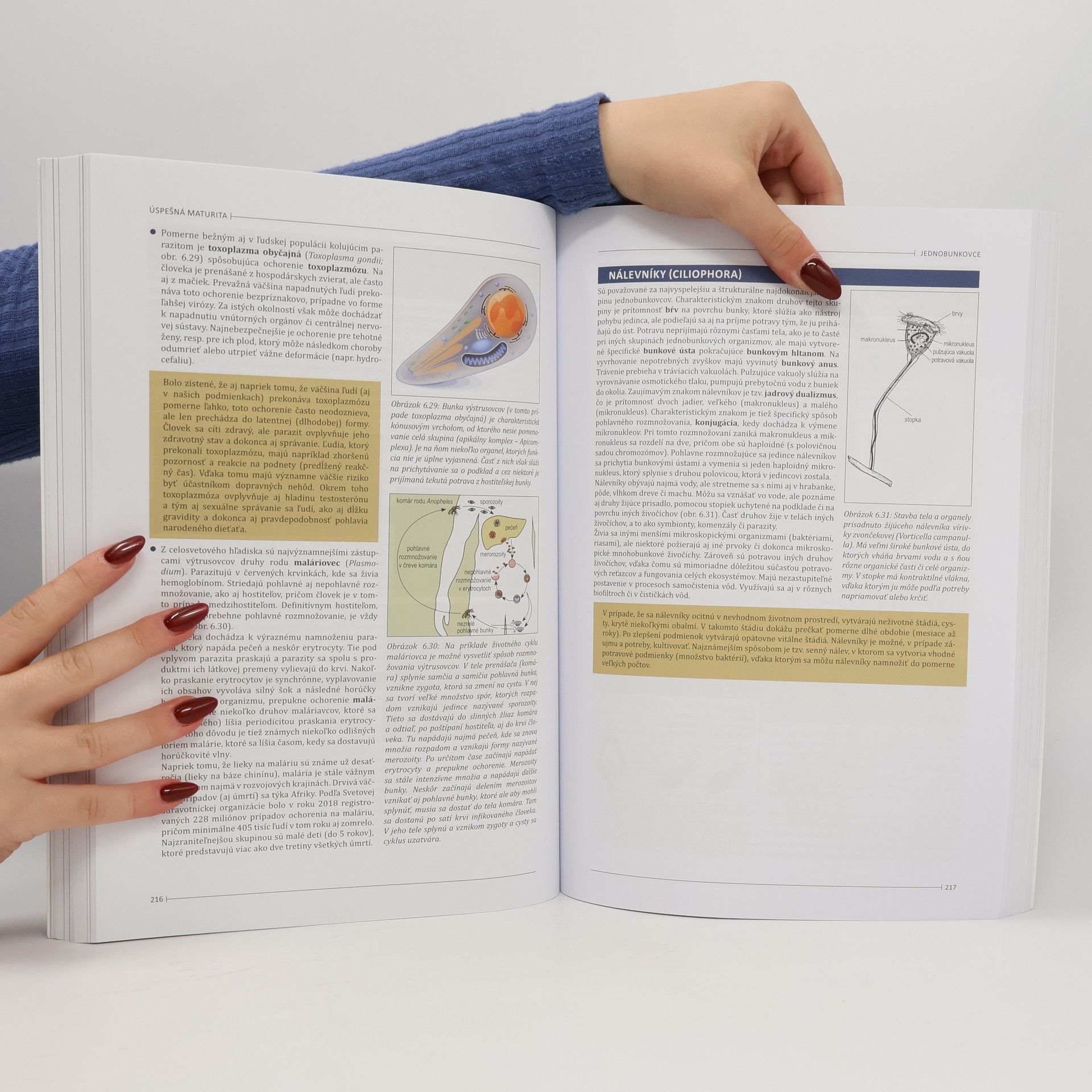 Collectif d'auteurs Úspešná maturita: Biológia