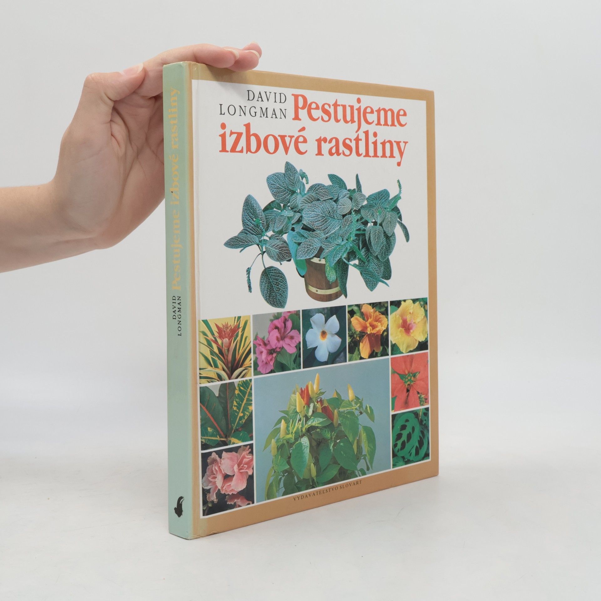 David Longman Pestujeme izbové rastliny