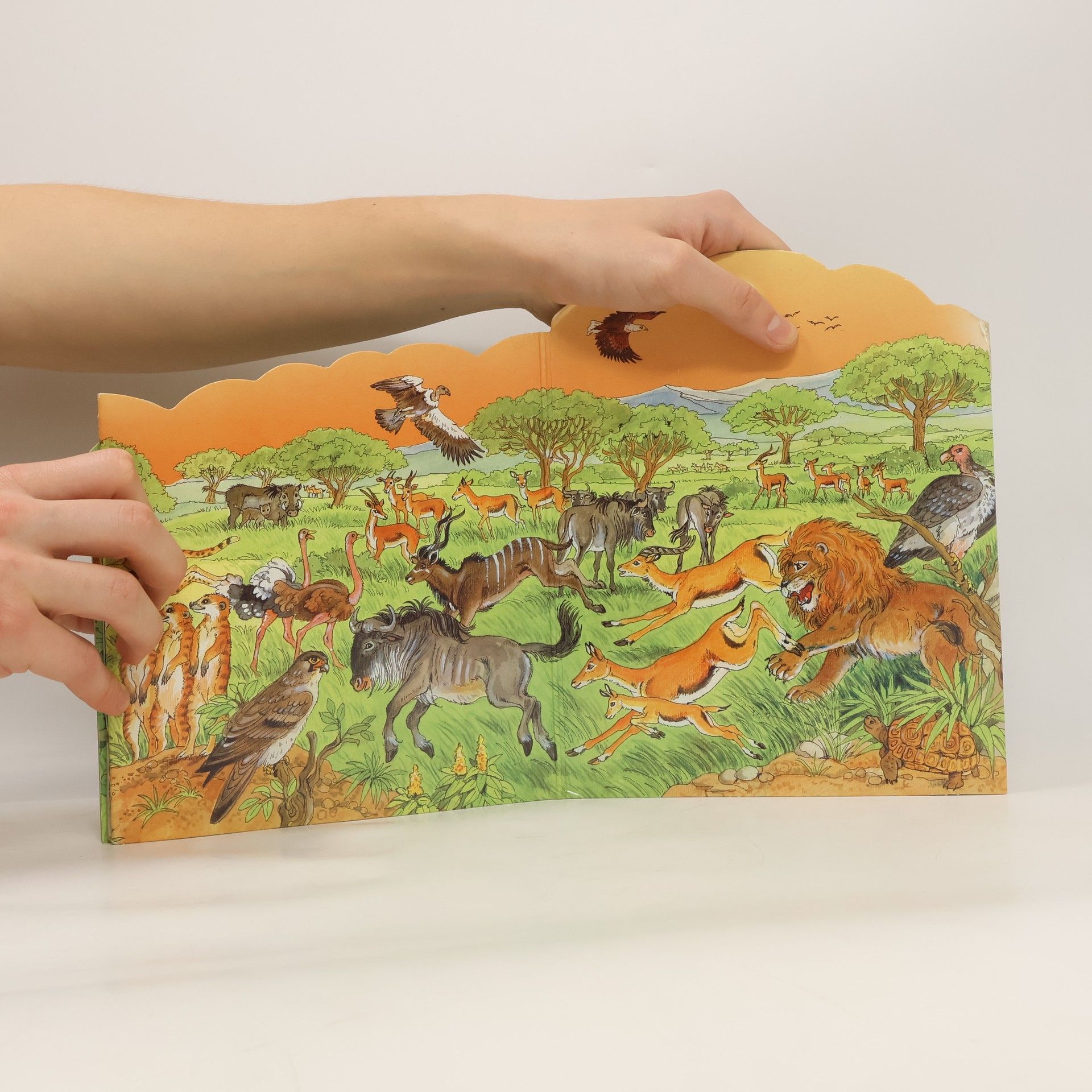 Bärbel Skarabela Wilde Tiere in Afrika