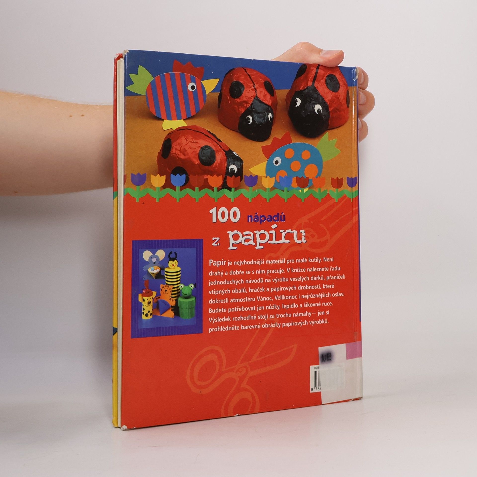 Monika Neubacher Fesser 100 nápadů z papíru