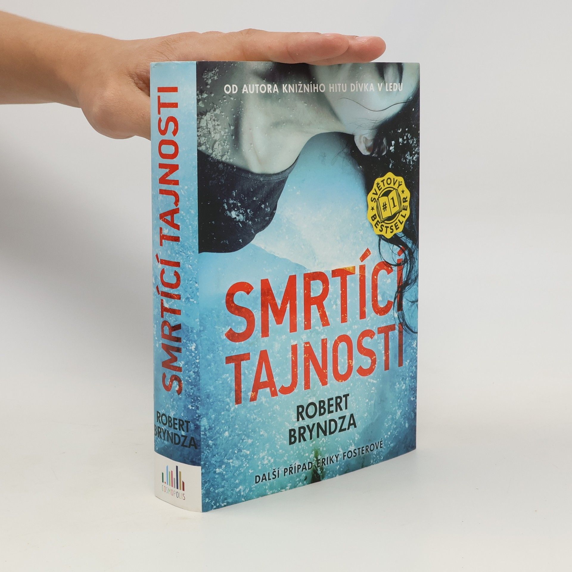 Robert Bryndza Smrtící tajnosti