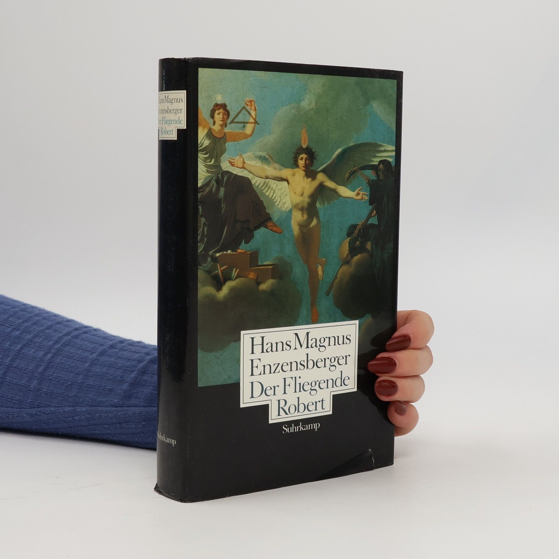 Hans Magnus Enzensberger Der Fliegende Robert