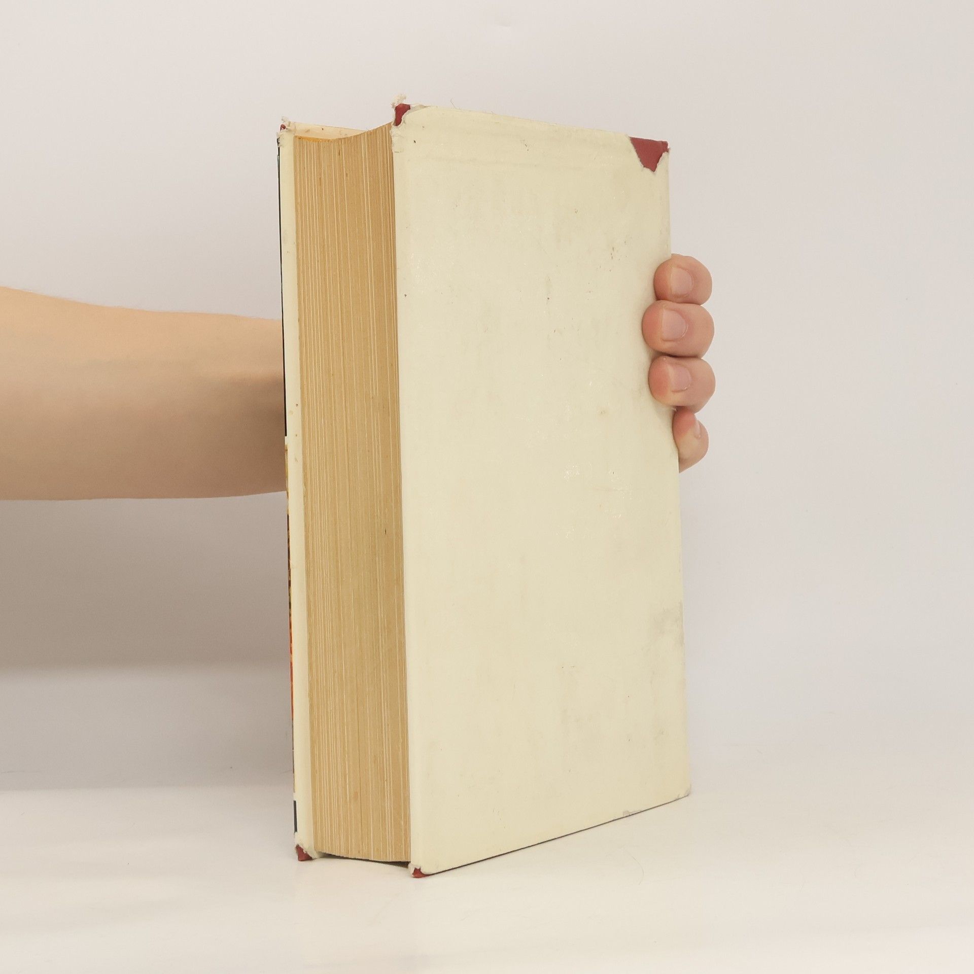 Autorenkollektiv Meisterwerk der Küche