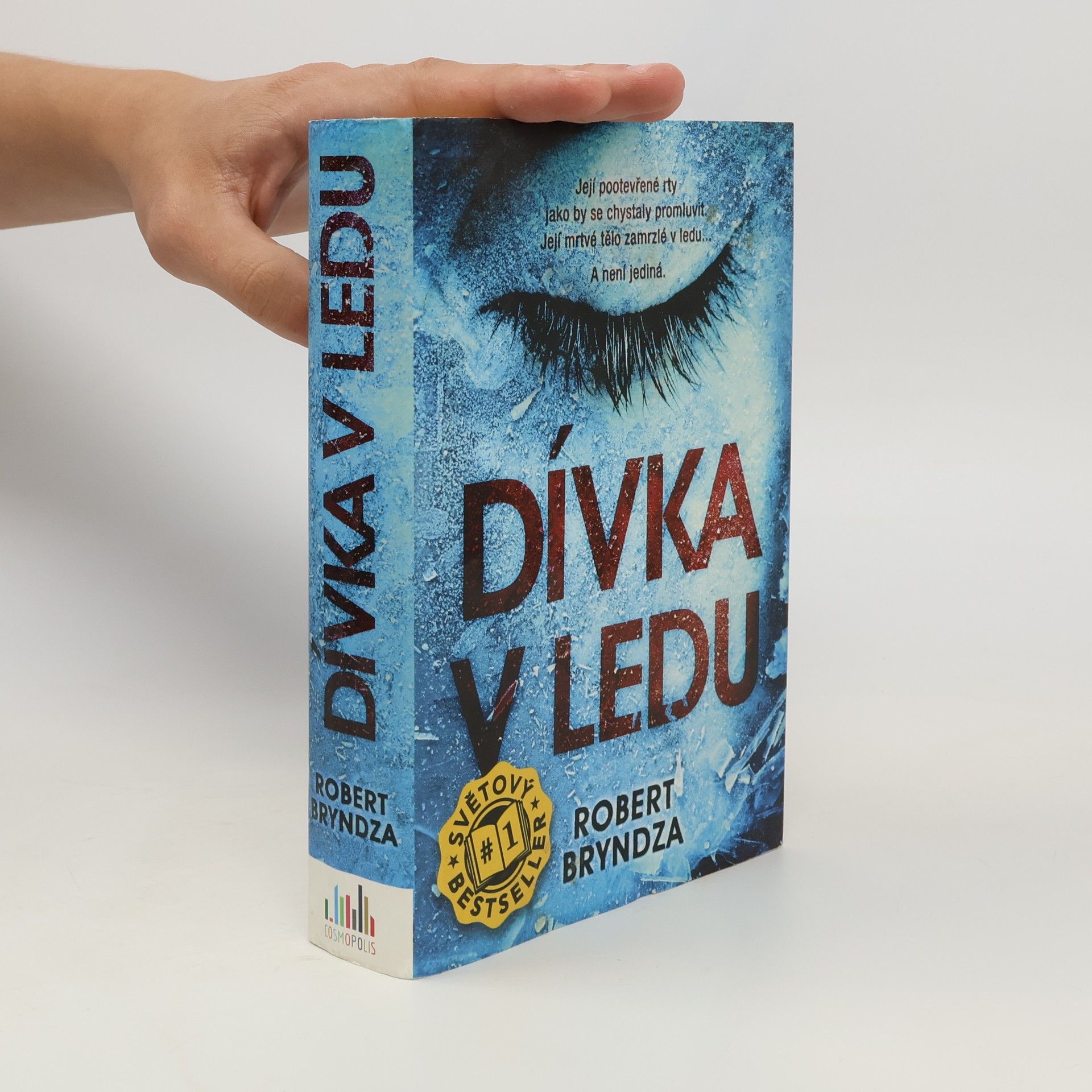 Robert Bryndza Dívka v ledu