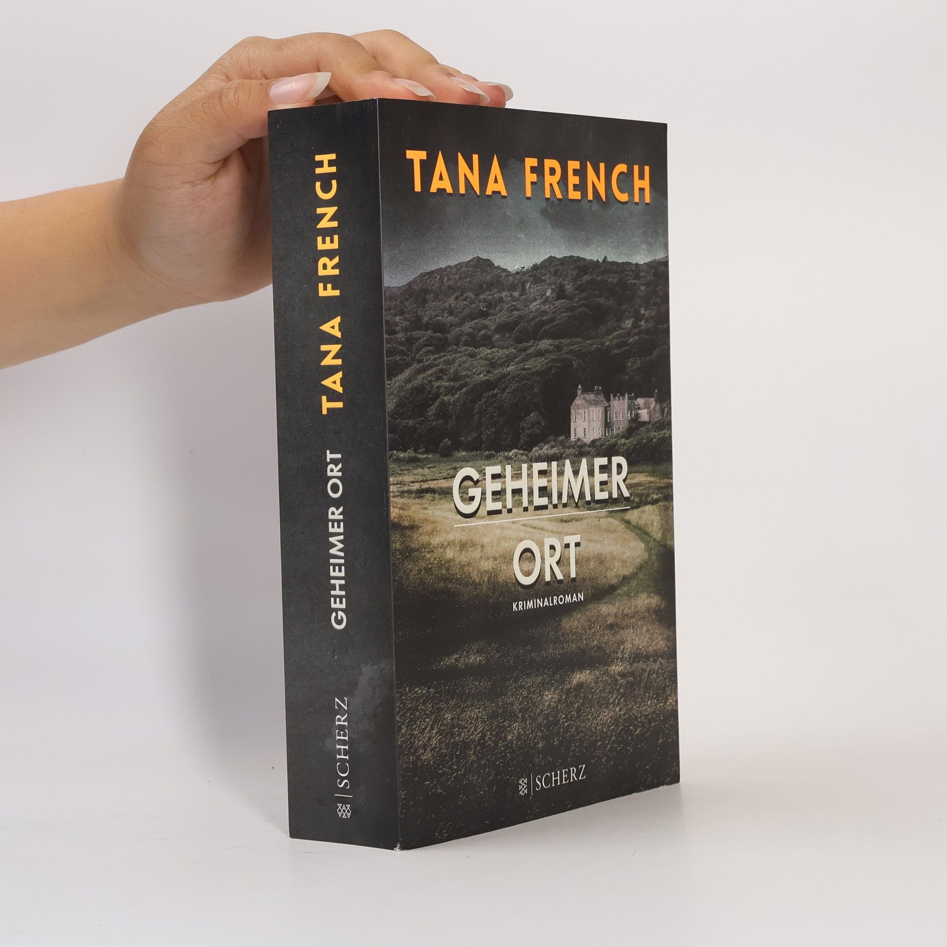 Tana Frenchová Geheimer Ort