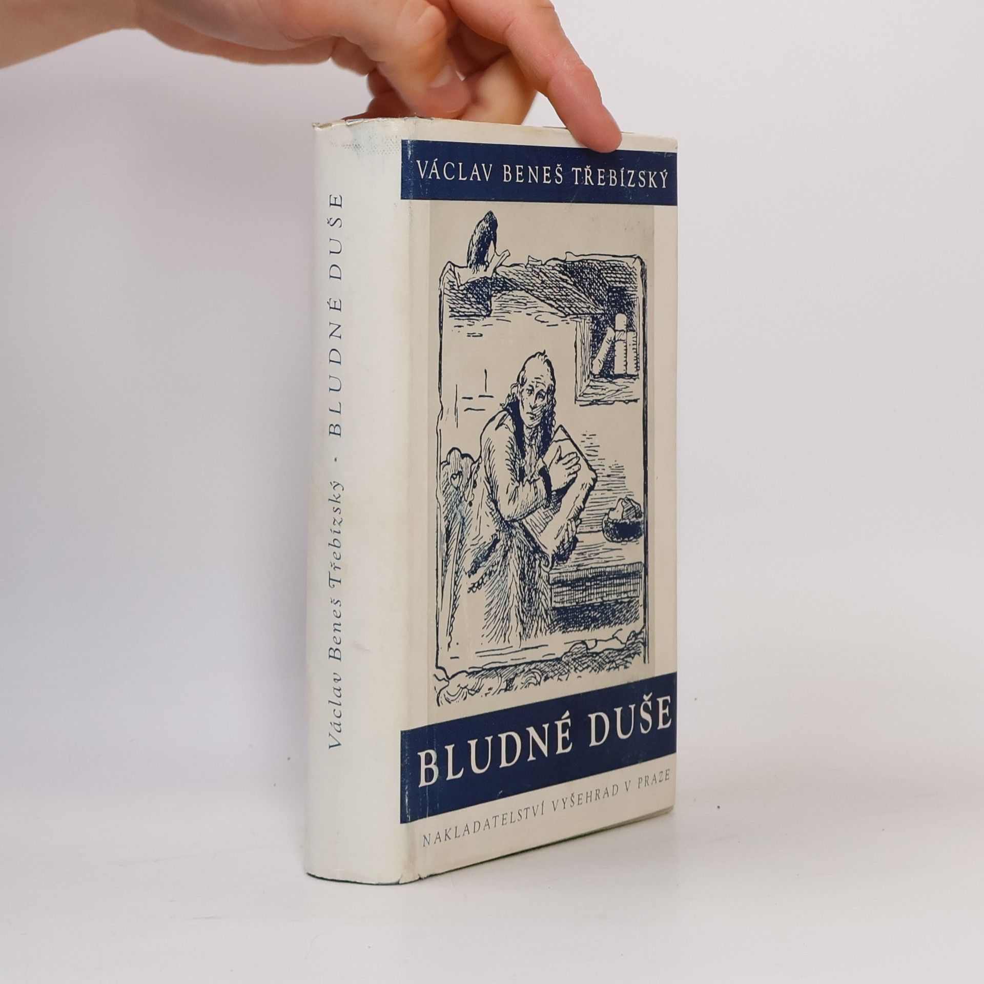 Václav Beneš Třebízský Bludné duše