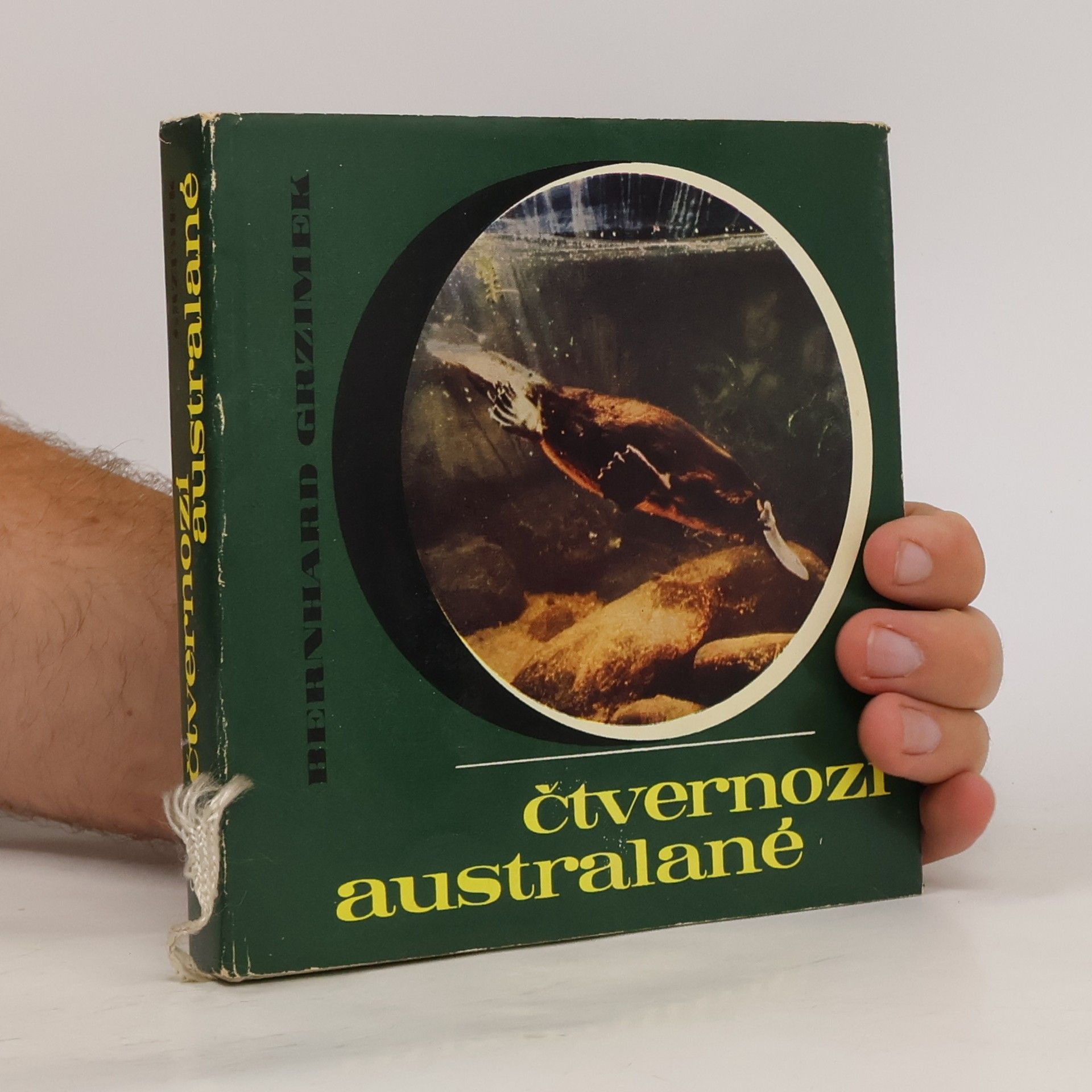 Bernhard Grzimek Čtvernozí Australané