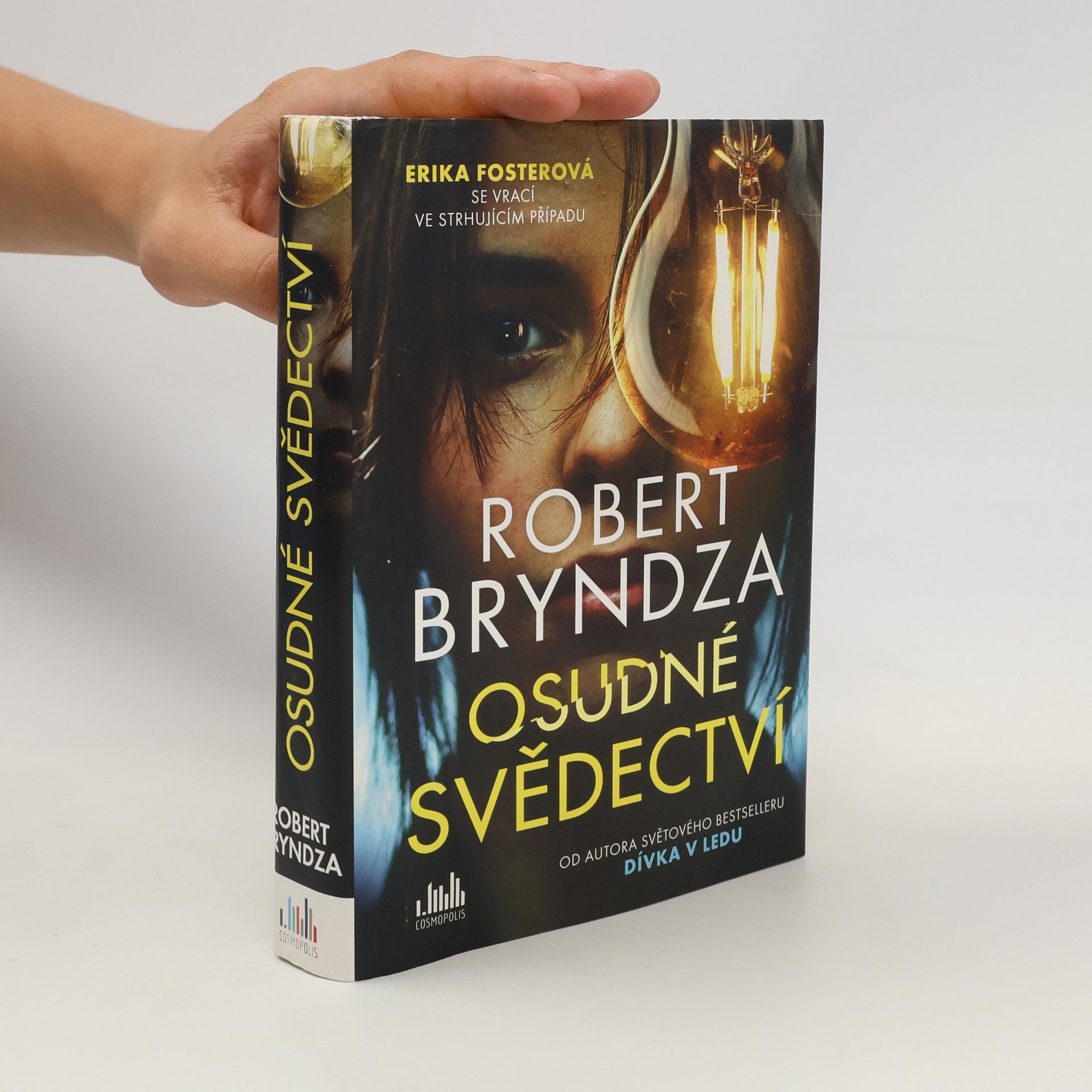 Robert Bryndza Osudné svědectví