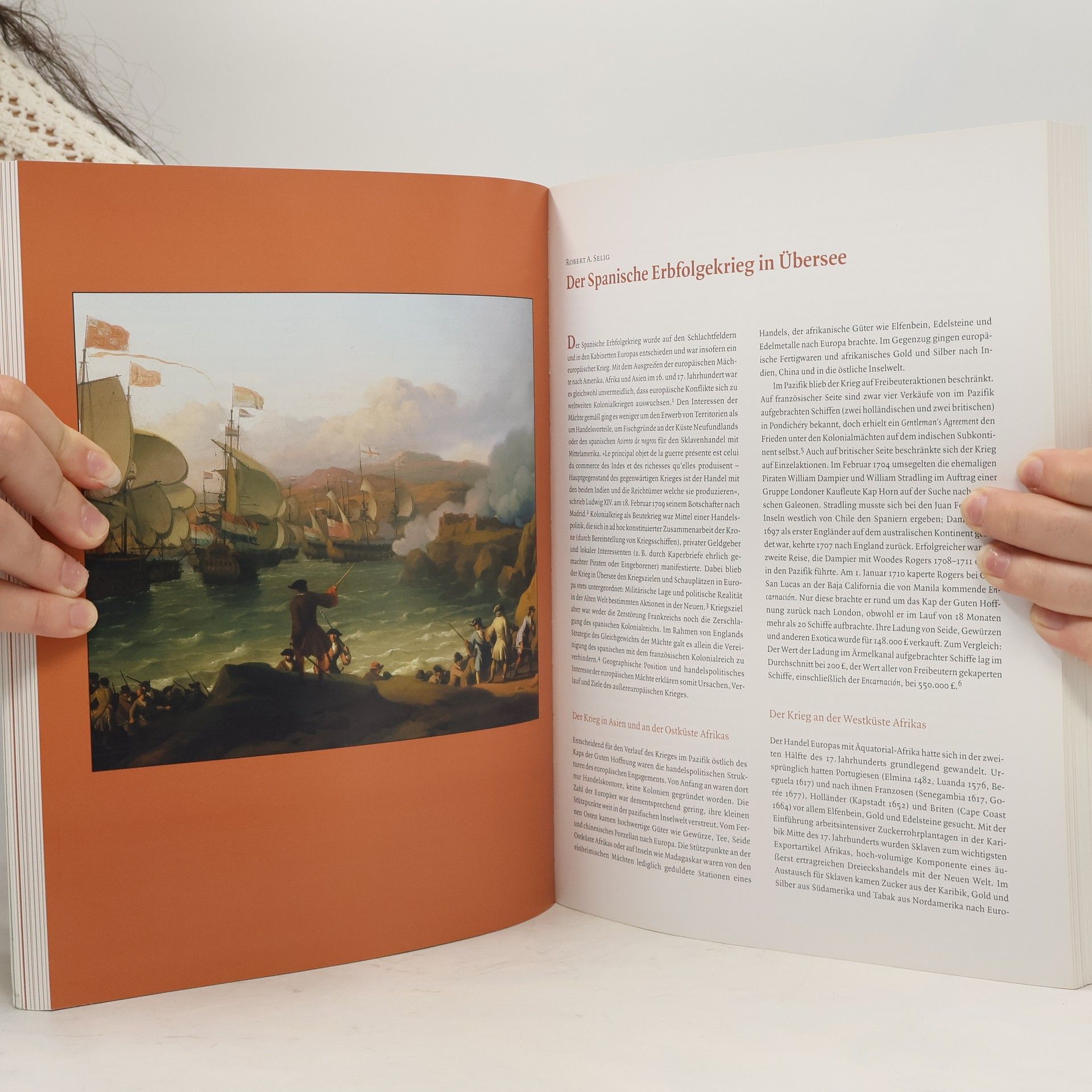 Johannes Erichsen 1704 - Die Schlacht von Höchstädt. Begleitbuch zur Ausstellung auf Schloss Höchstädt an der Donau