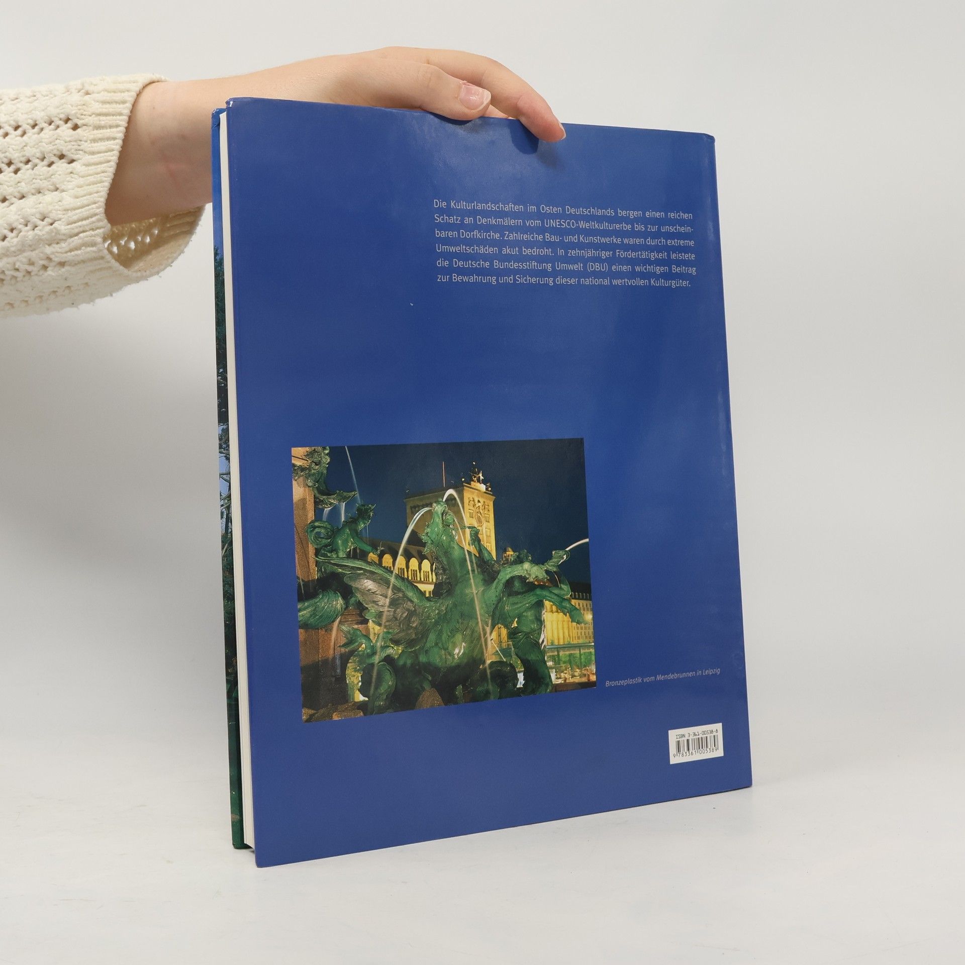 Fritz Brickwedde Umwelt, Kultur, Schutz