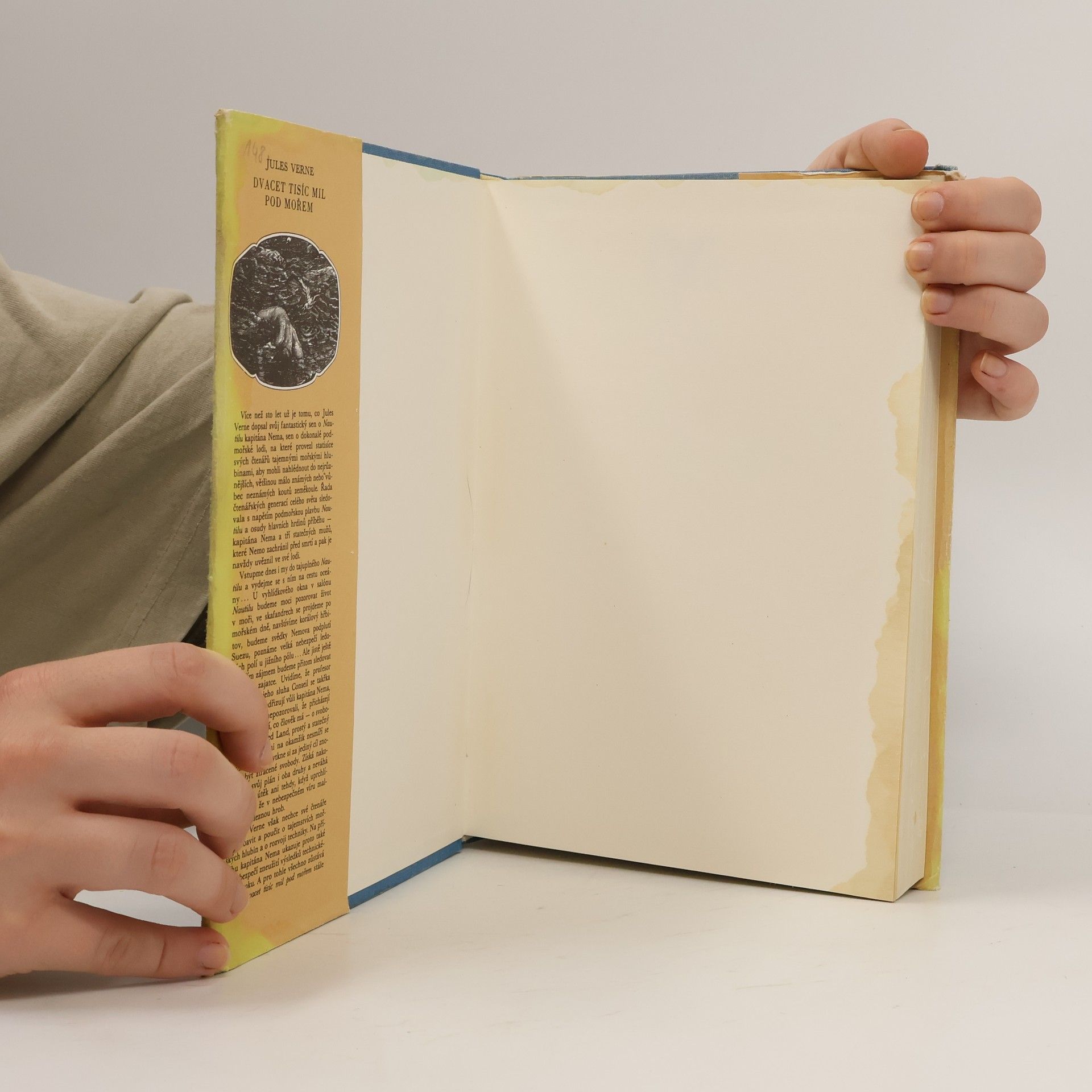 Jules Verne Dvacet tisíc mil pod mořem