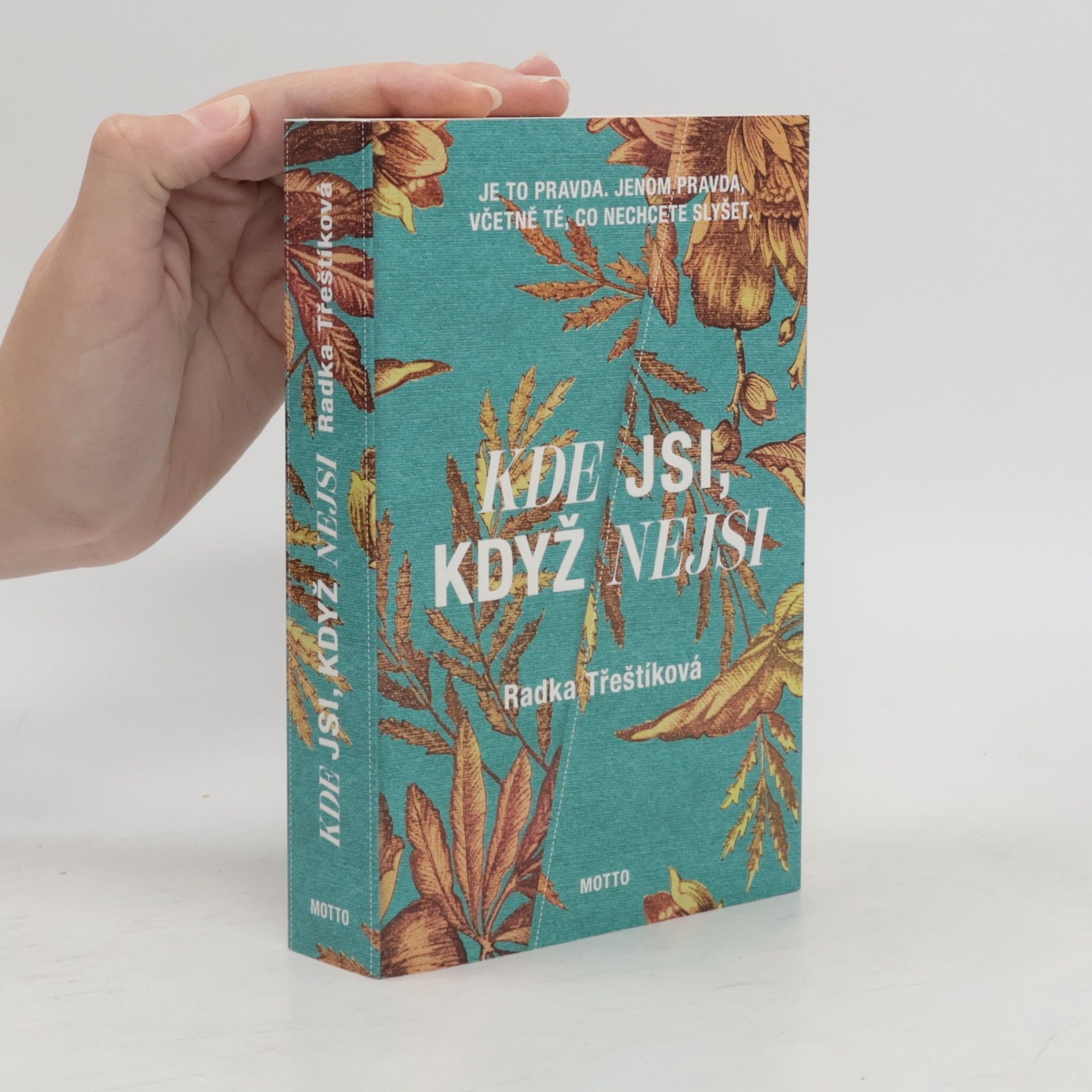 Radka Třeštíková Kde jsi, když nejsi