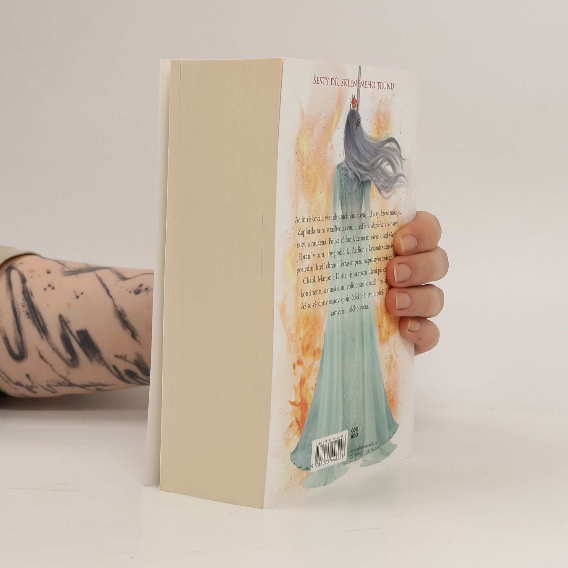 Sarah J. Maas Království popela