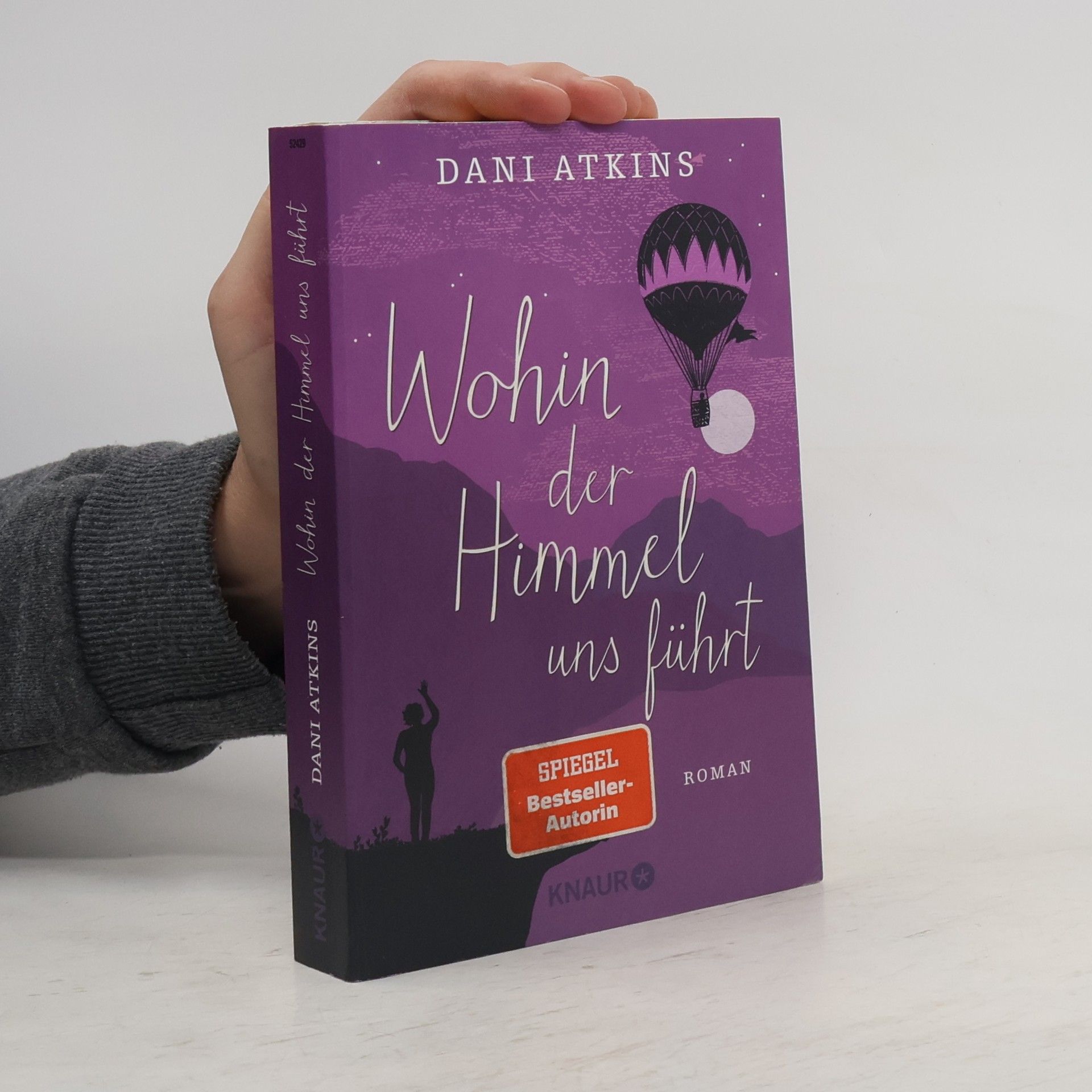 Dani Atkins Wohin der Himmel uns führt