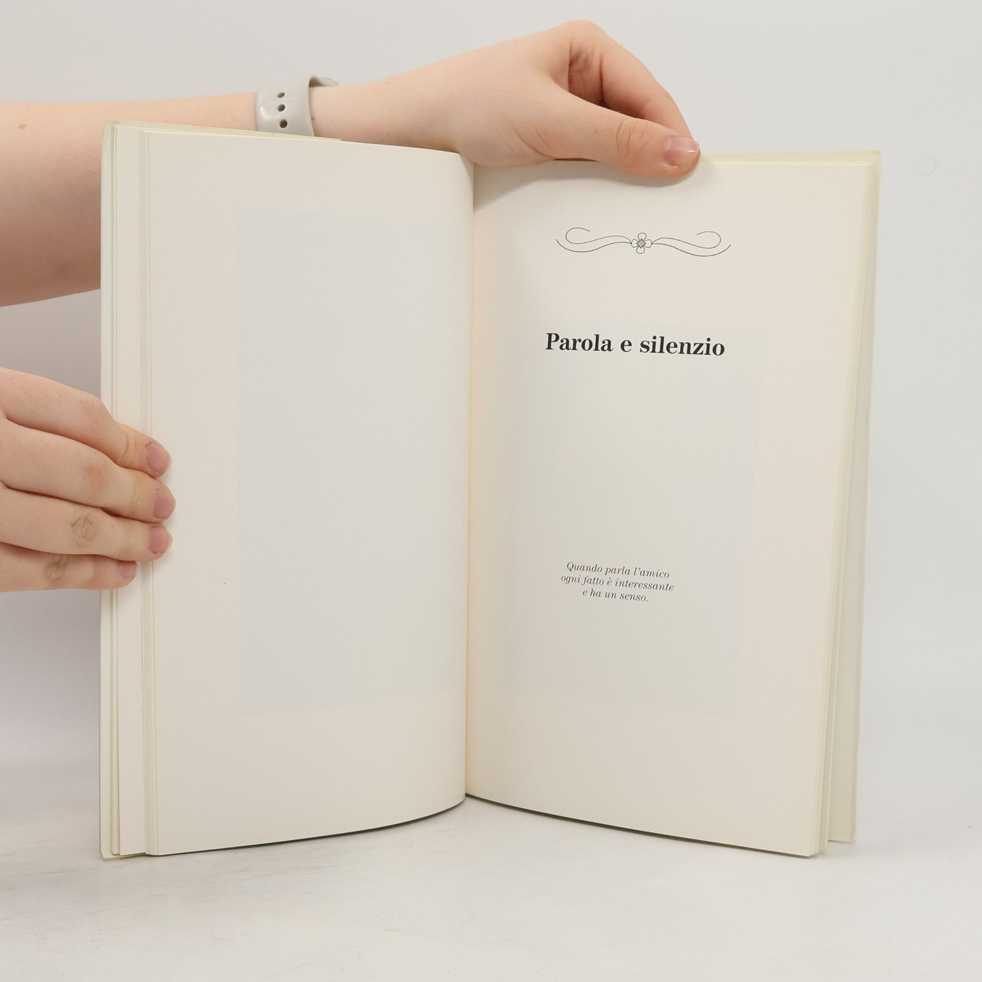 Sergio Deison Fotolibri - 50: L'amicizia